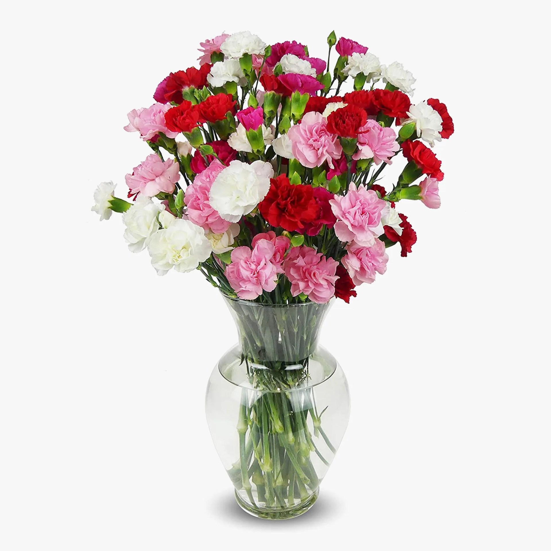 benchmark bouquets 20 stem rainbow mini carnations