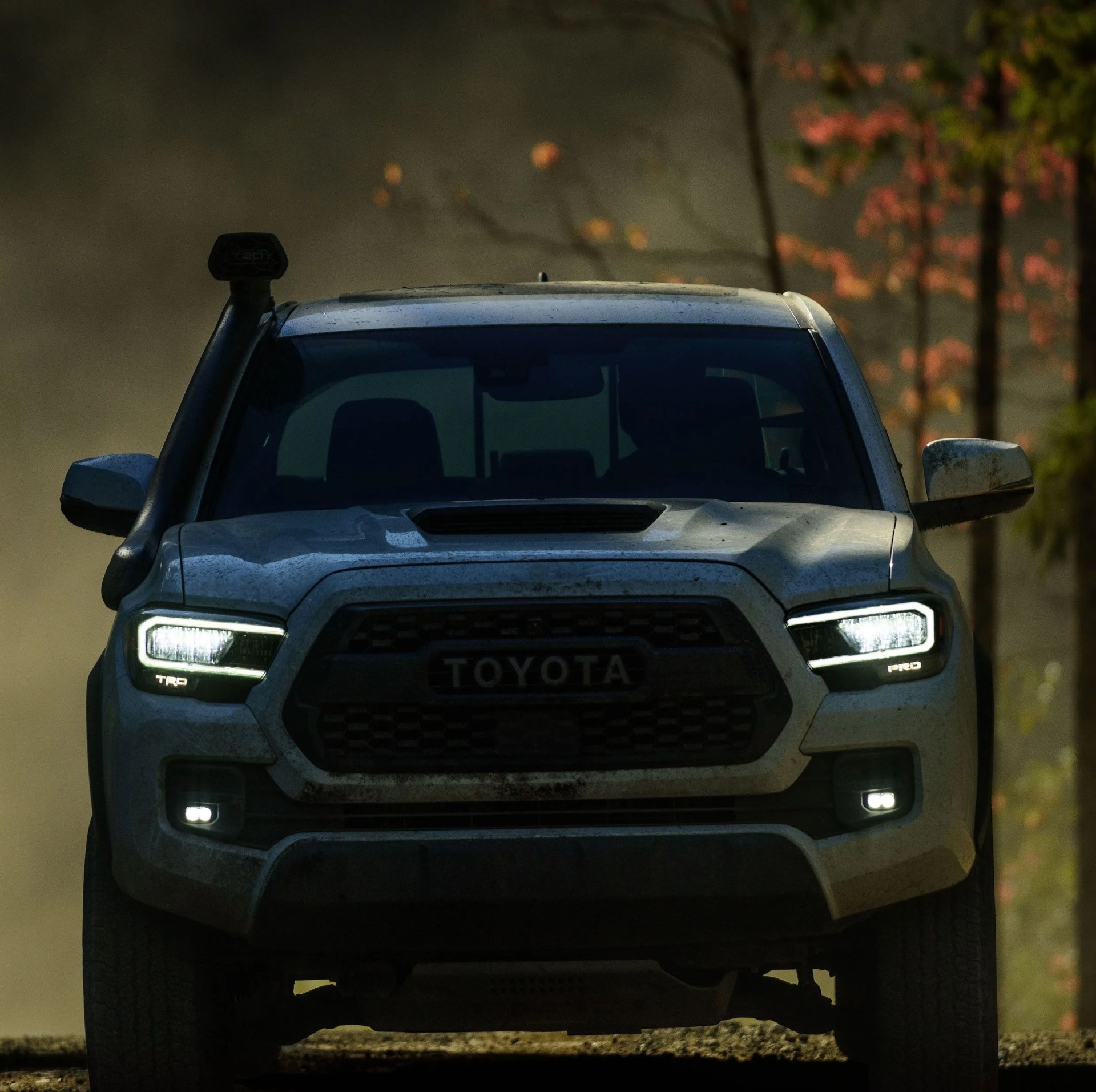 toyota tacoma future