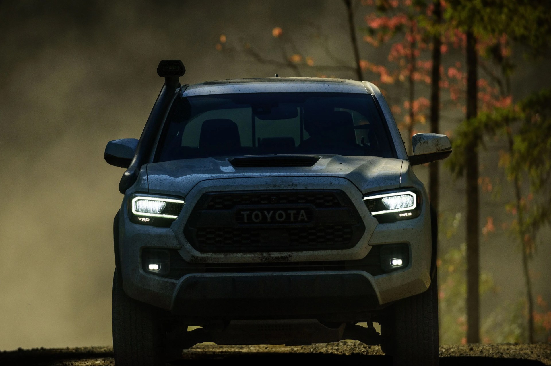 toyota tacoma future