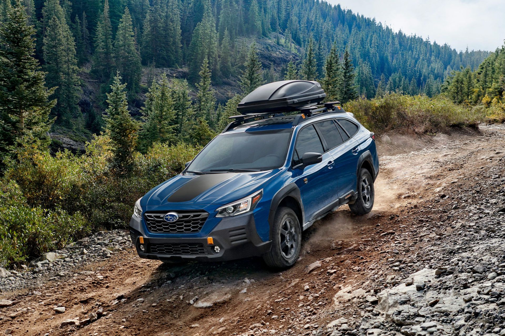 subaru outback wilderness