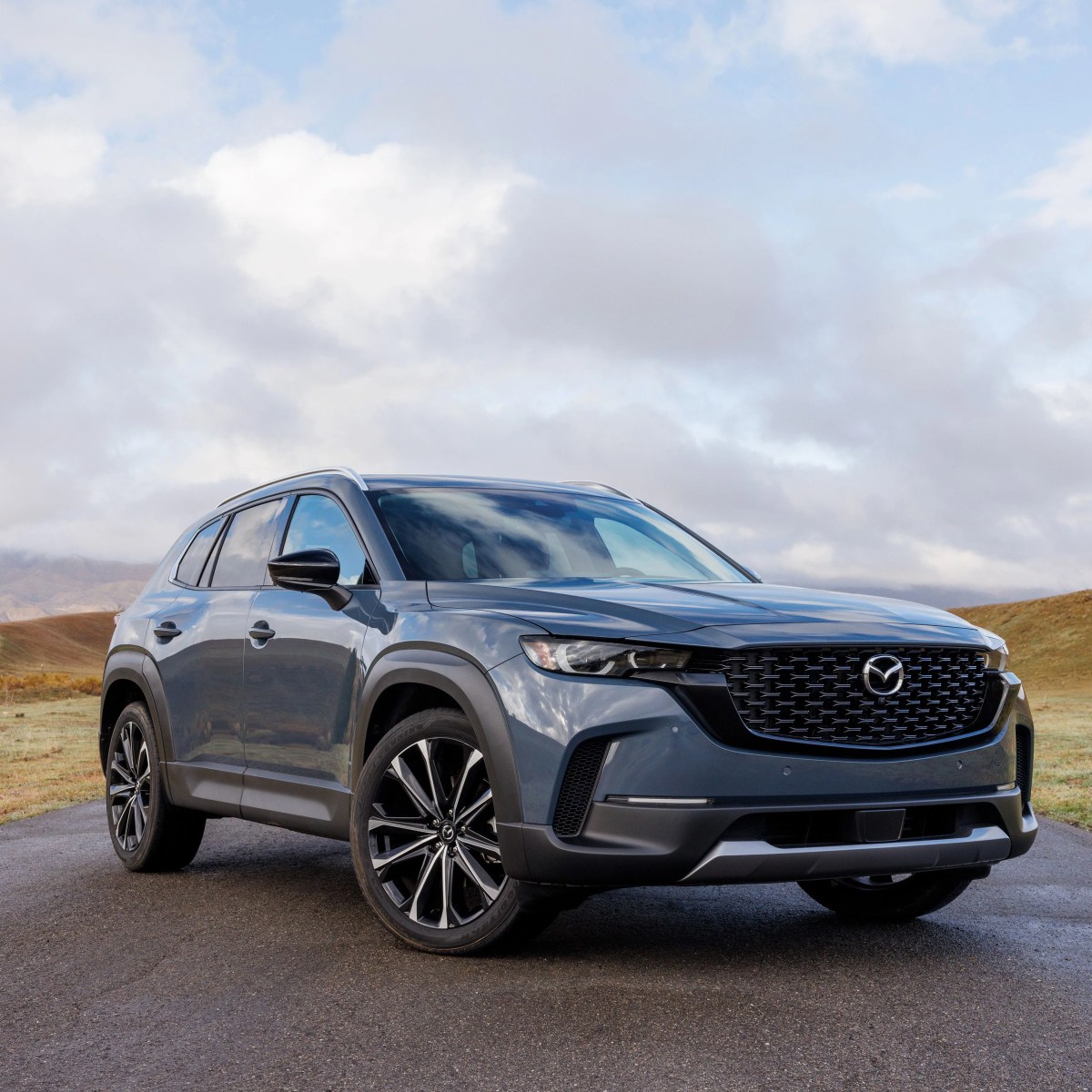 alf1319-1648242541-jpg.webp?w=