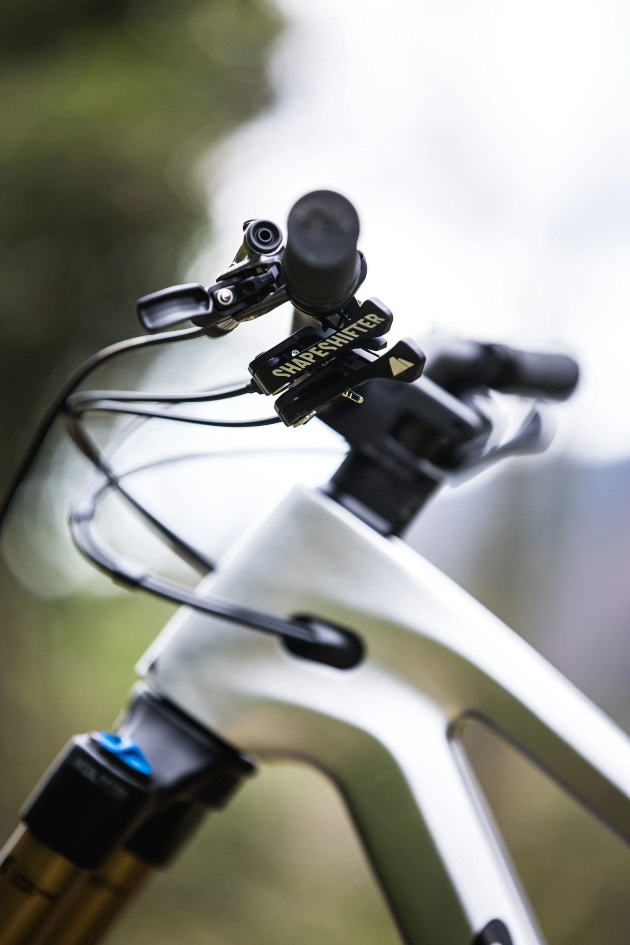 canyon strive shapeshifter tech