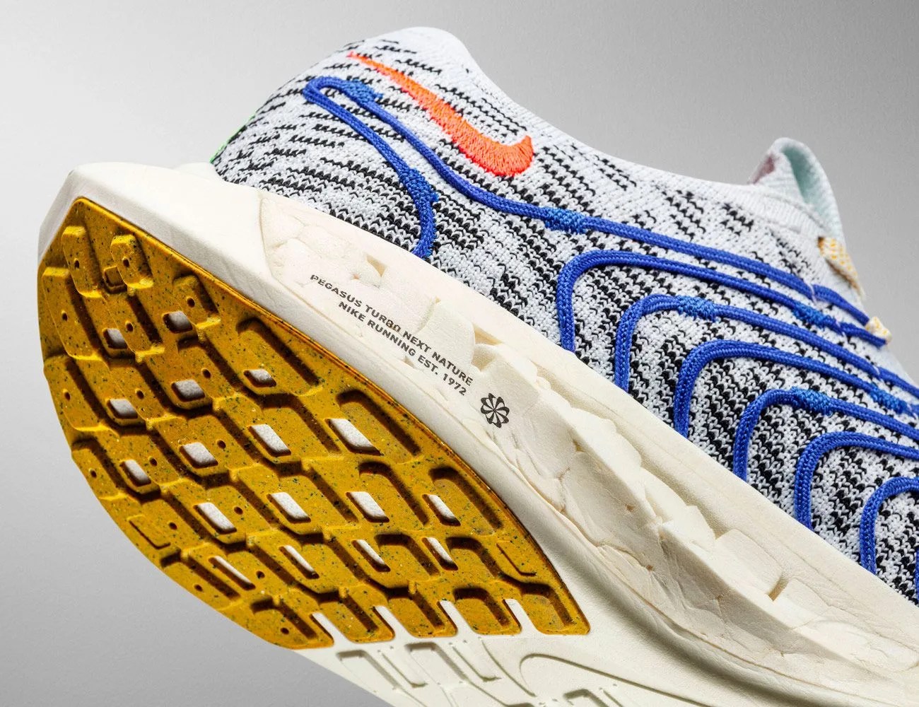 Nike's Pegasus Turbo Next Nature Take a Big Step Toward