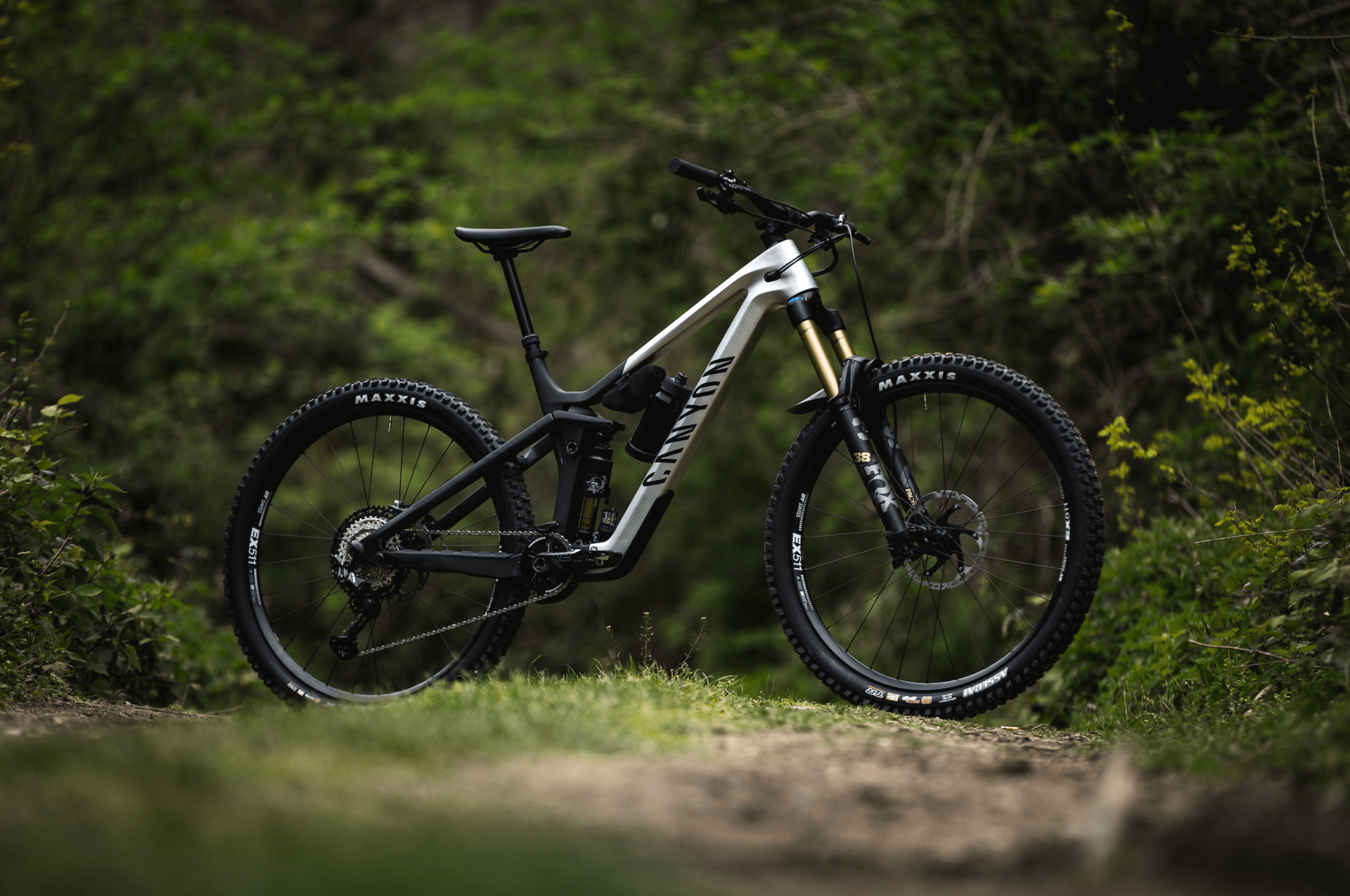 canyon strive