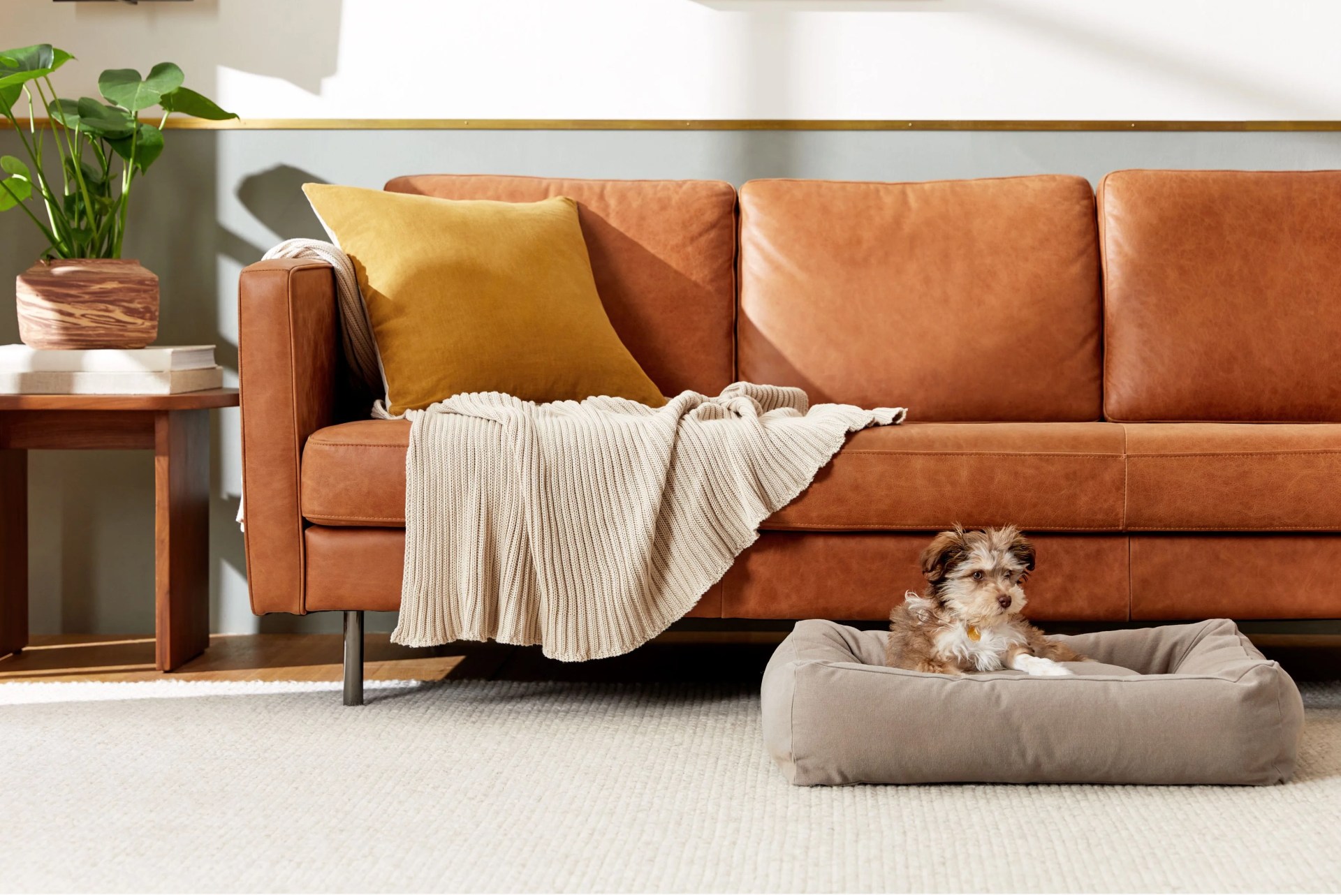 canvas bolster dog bed