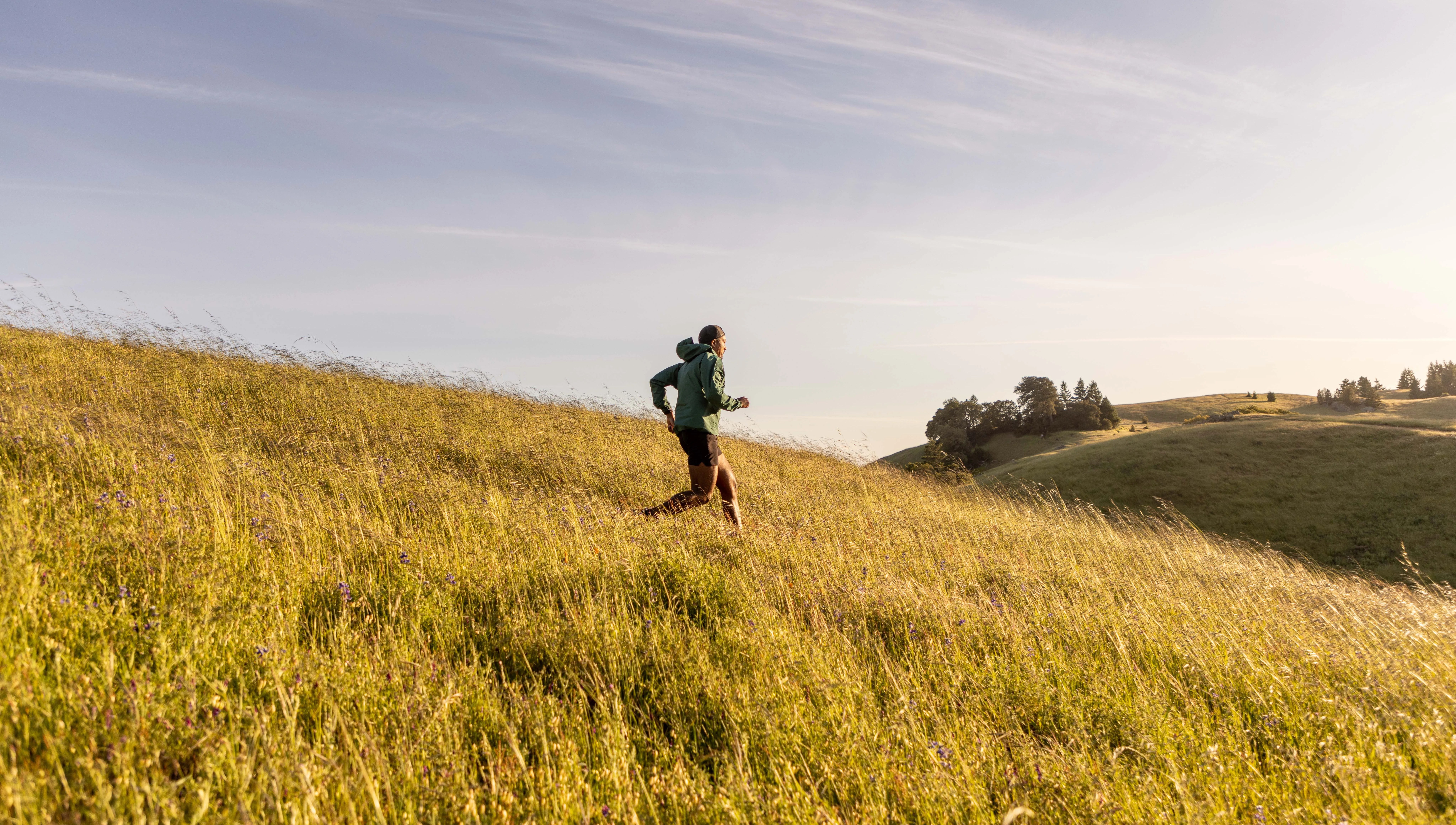 dezmond taylor douglas running down hill side
