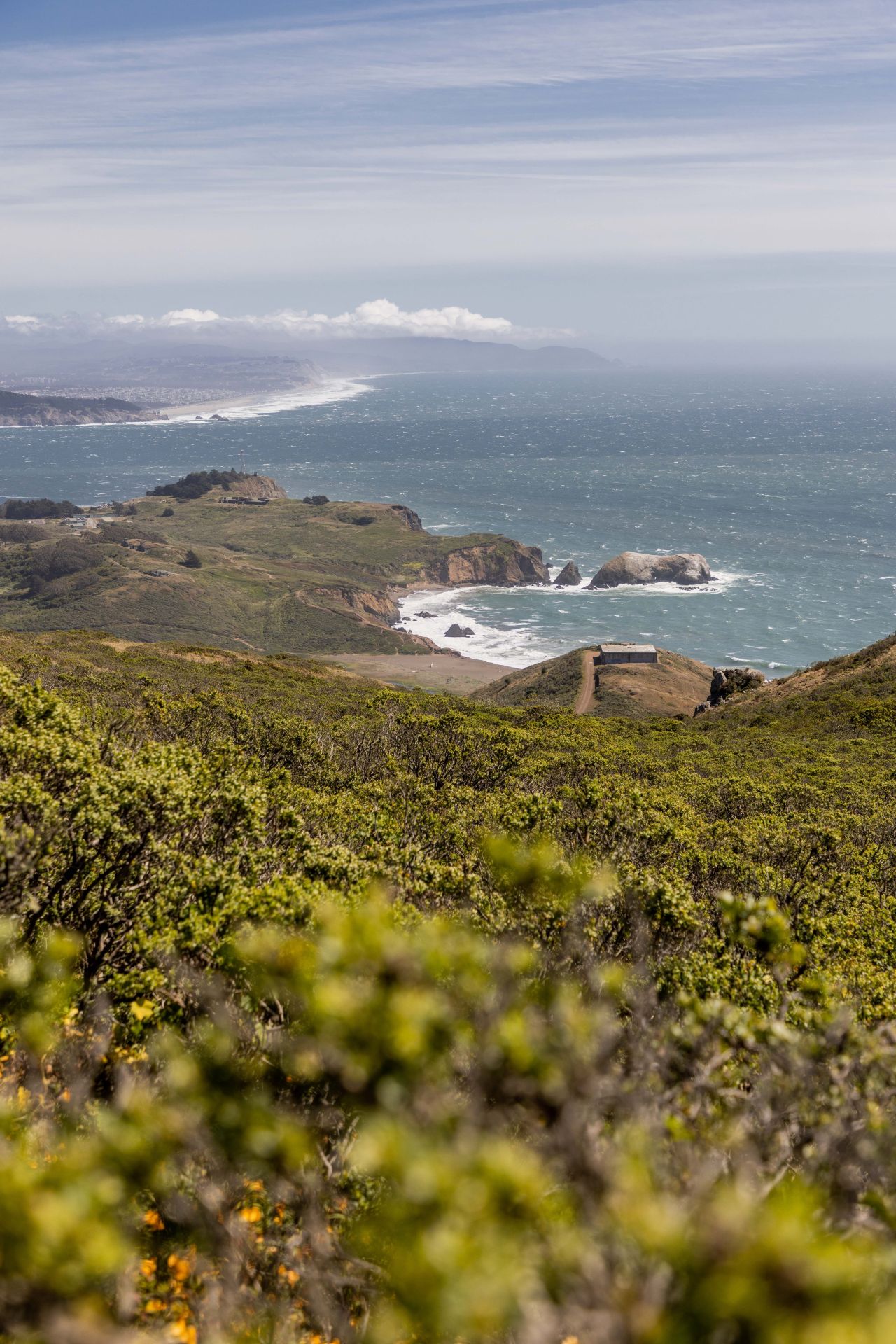 grassy hillside overlooking into ocean