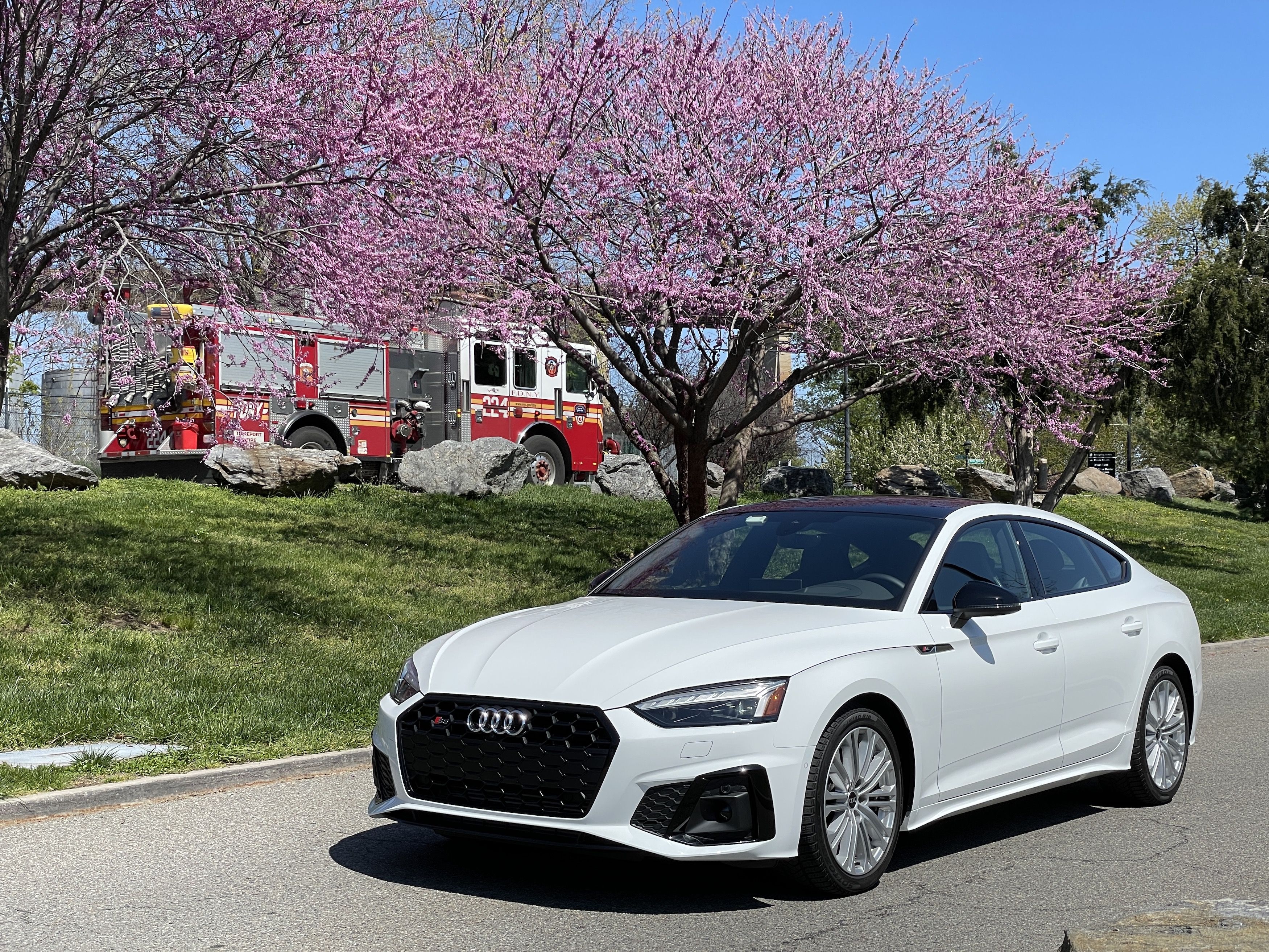 The 2022 Audi S5 Sportback Is Unexpectedly Delightful