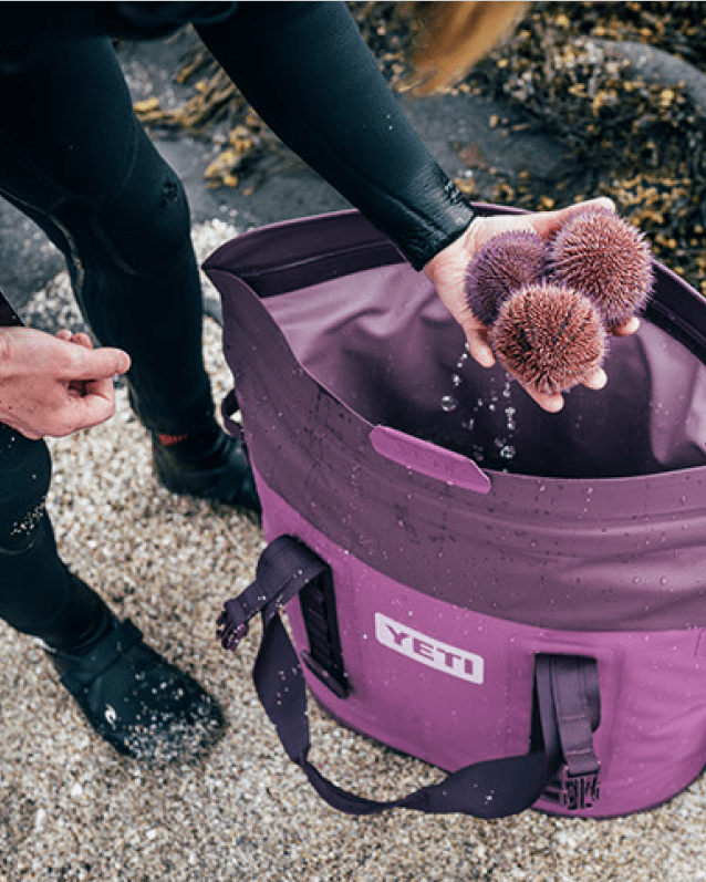 yeti's new nordic collection purple soft cooler