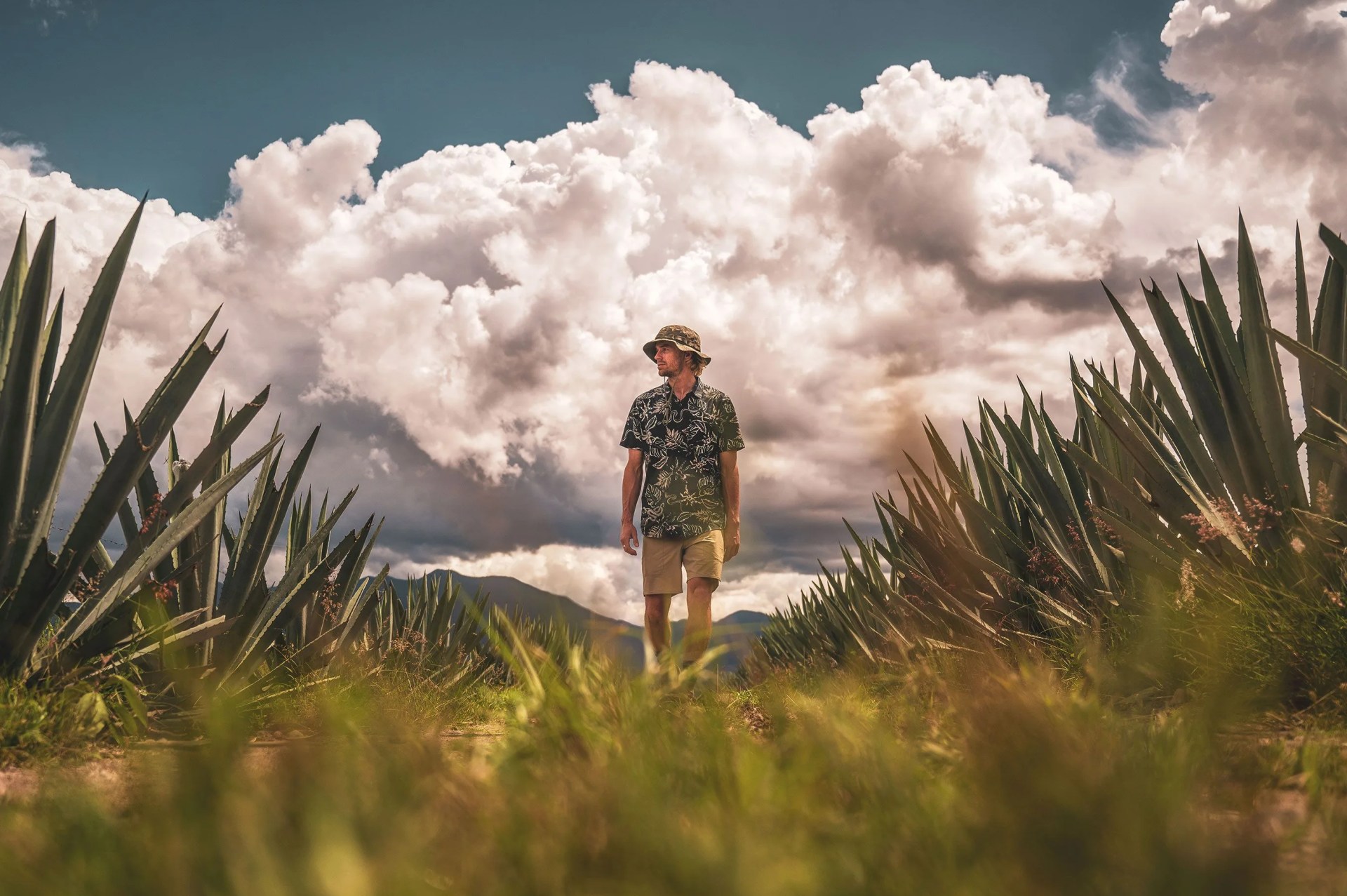 man wearing roark clothing standing in field