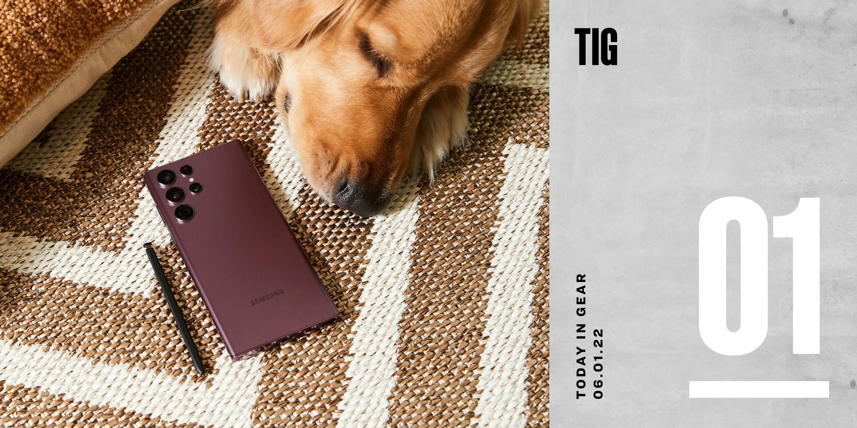 golden retriever sleeping next to pink samsung galaxy s22