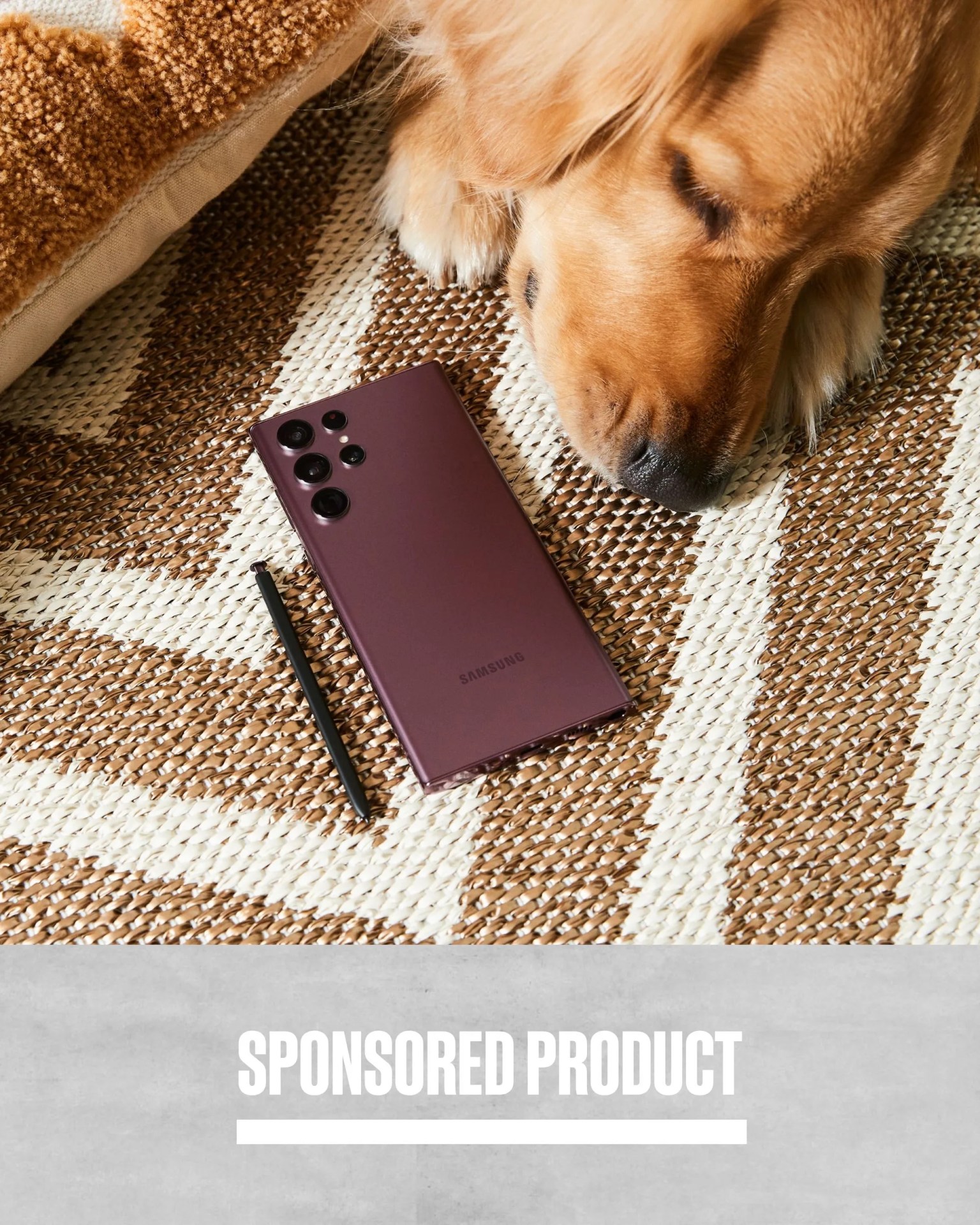golden retriever sleeping next to pink samsung galaxy s22