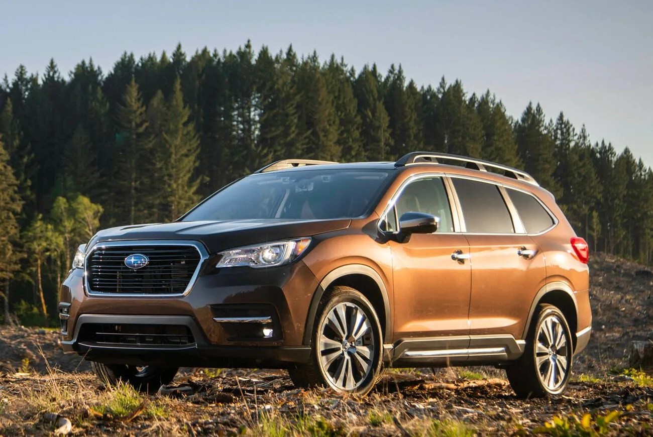 subaru ascent parked on forest ground in front of al one of trees