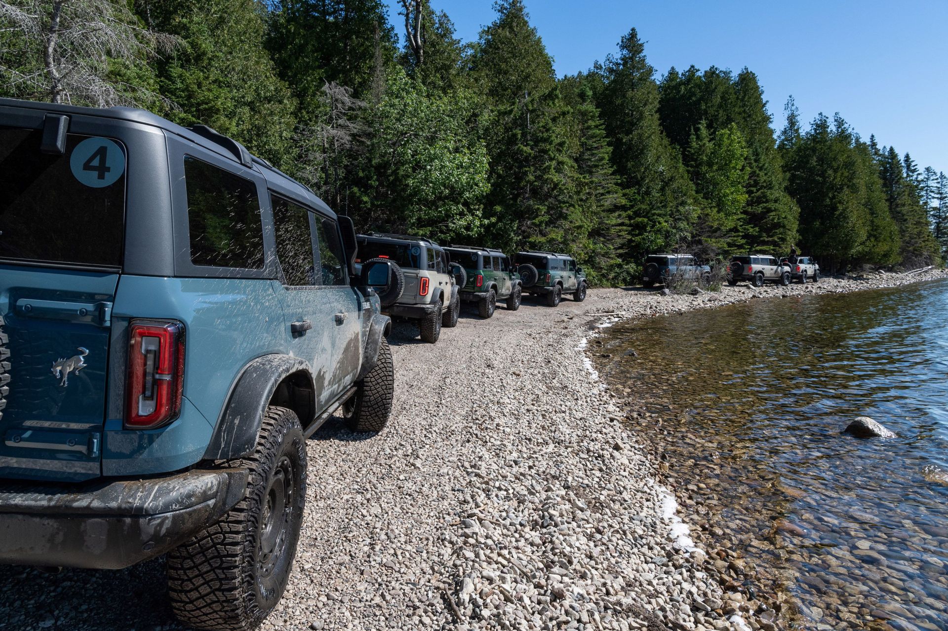 ford bronco everglades
