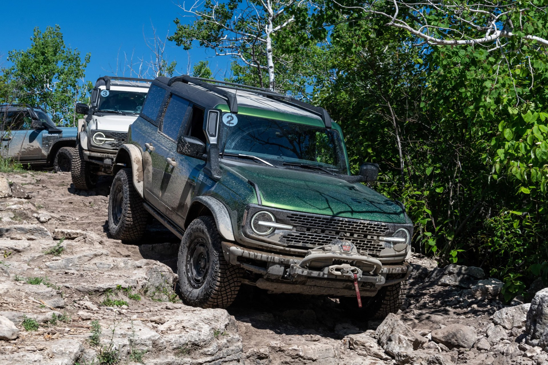 ford bronco everglades
