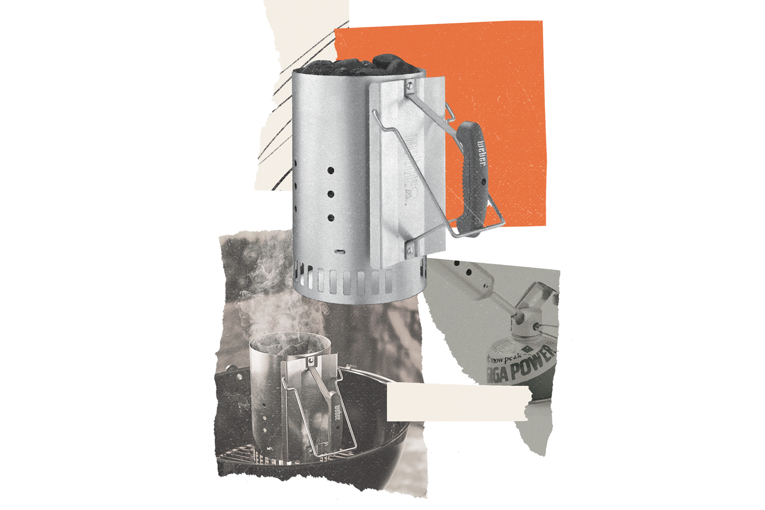 starter illustration by alexa edgerton