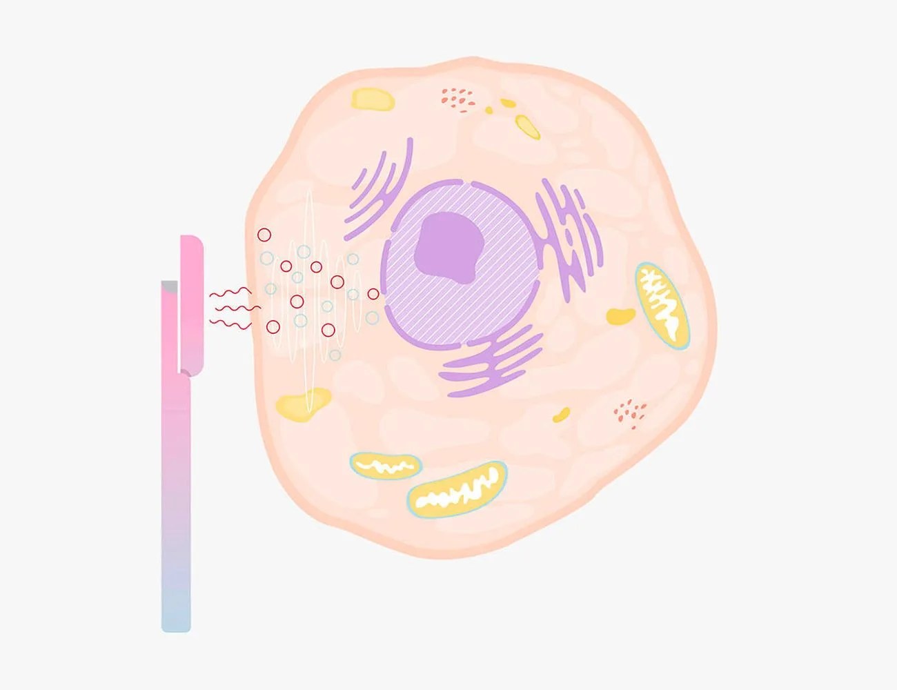 solawave microcurrent caused by wand on skin