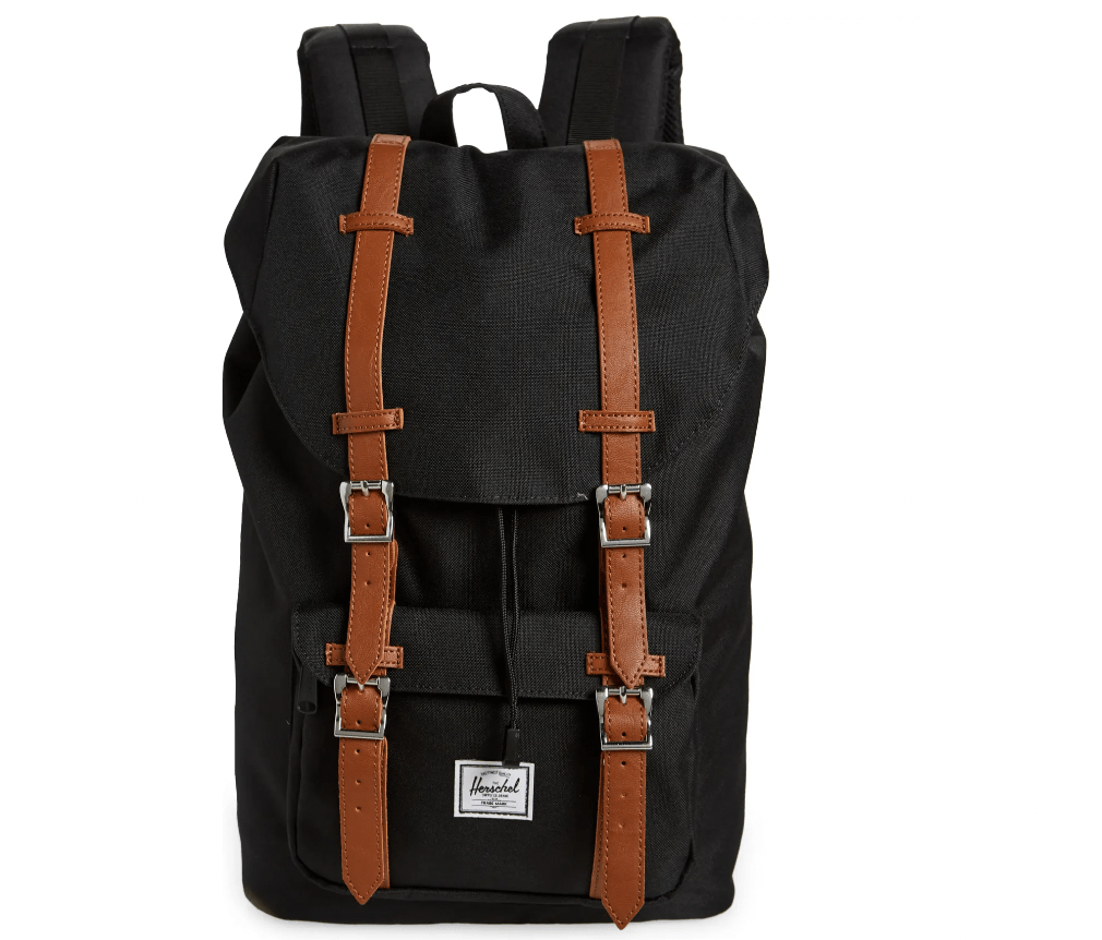 backpack with leather straps