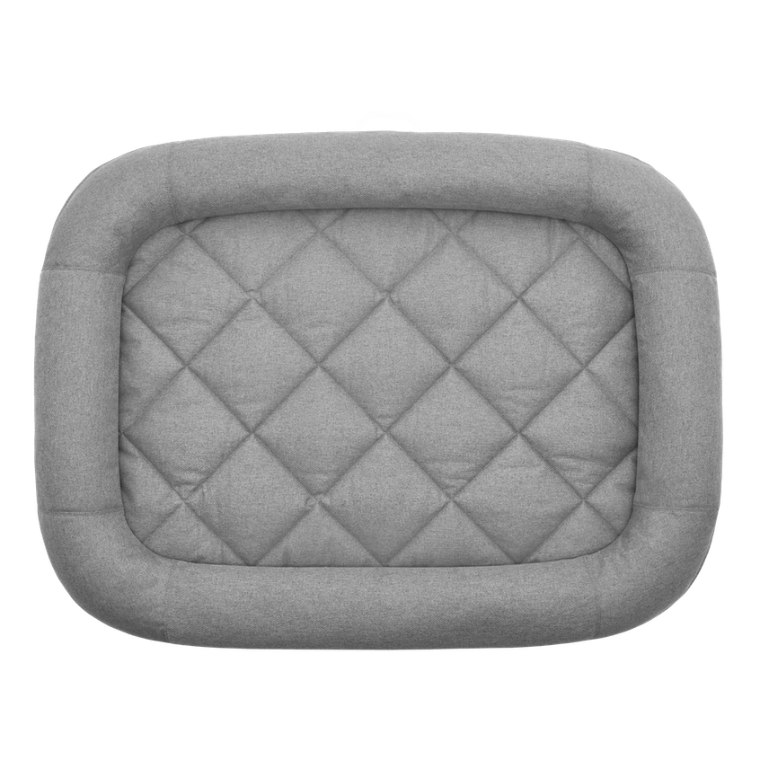 dog bed