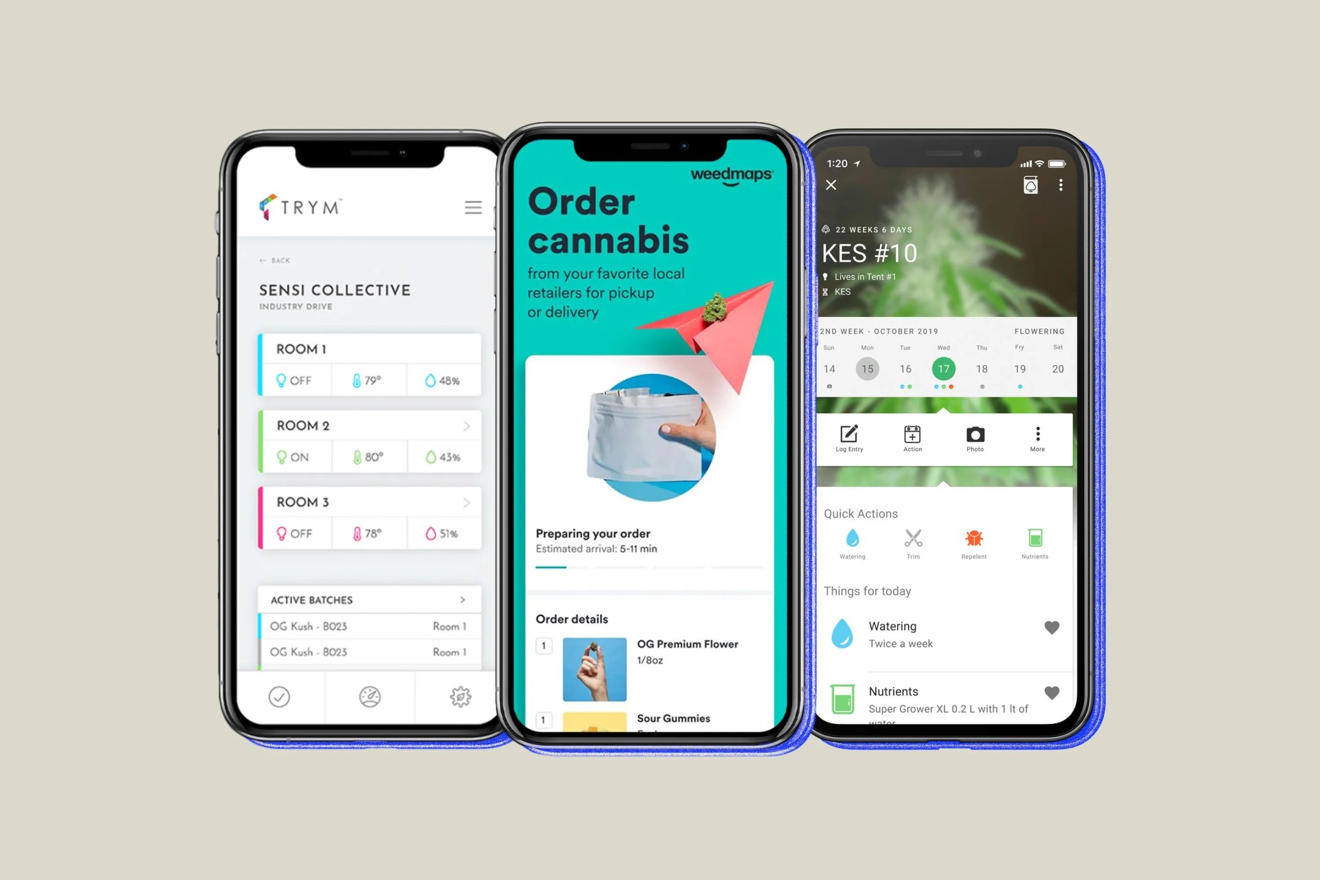 three iphones showing cannabis apps