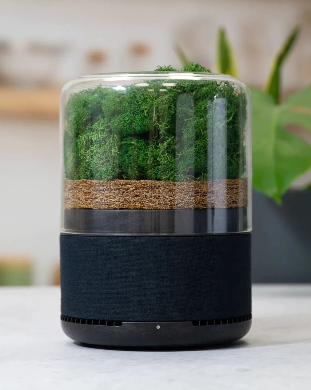 the briiv air filter