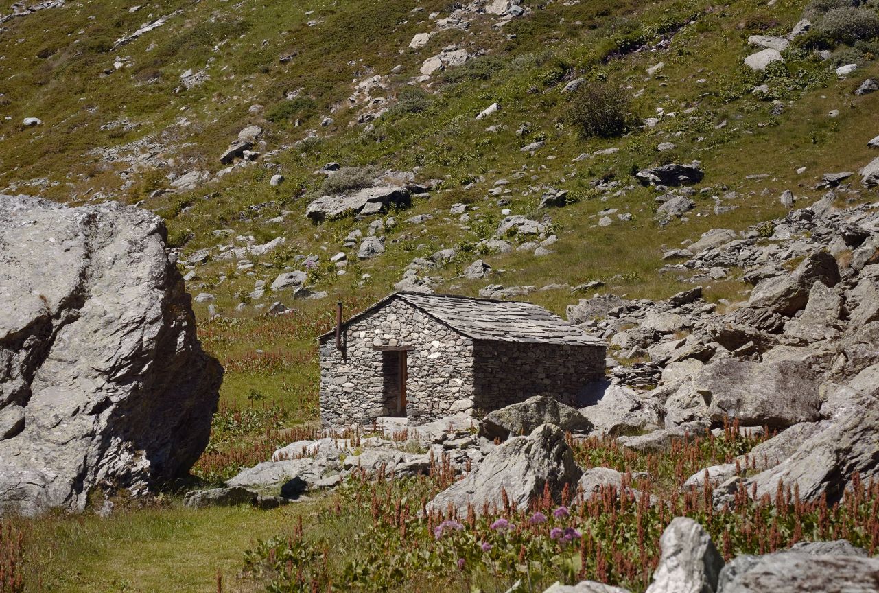 man wearing glashutte watch