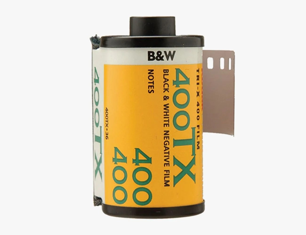 The Best 35mm Film for Vintage Cameras Gear Patrol