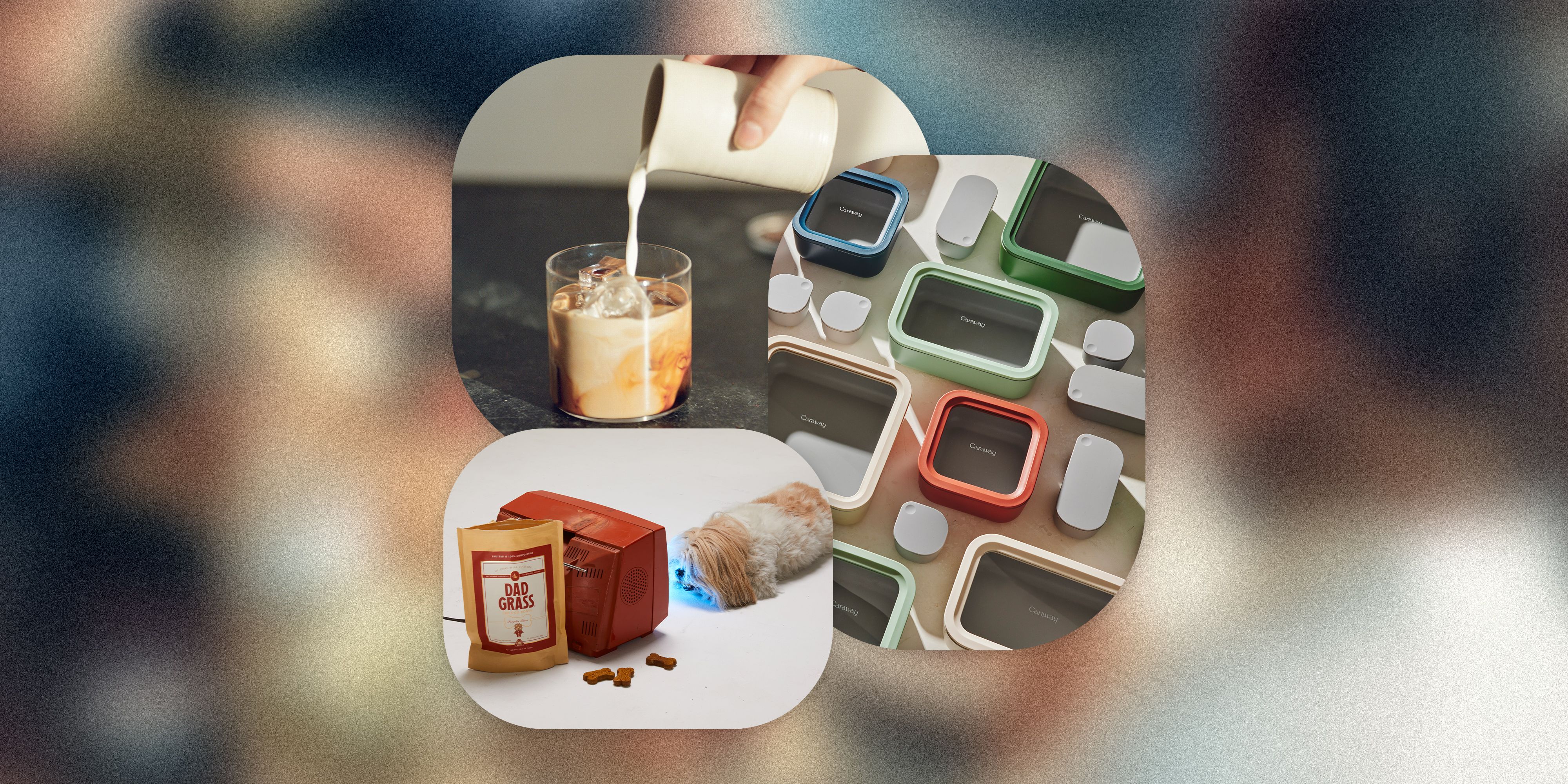 collage of a person pouring milk into coffee, caraway food storage set, and dog treats next to a dog laying by a tv
