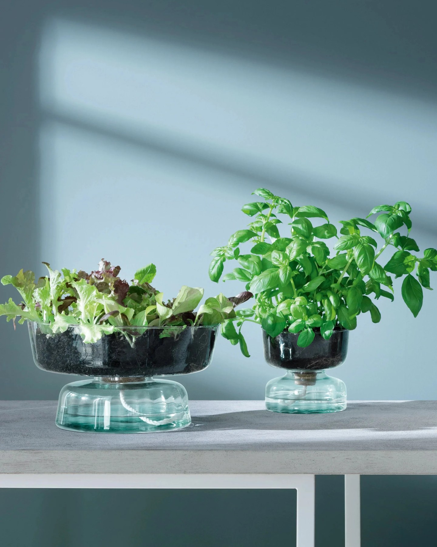 canopy self watering planter