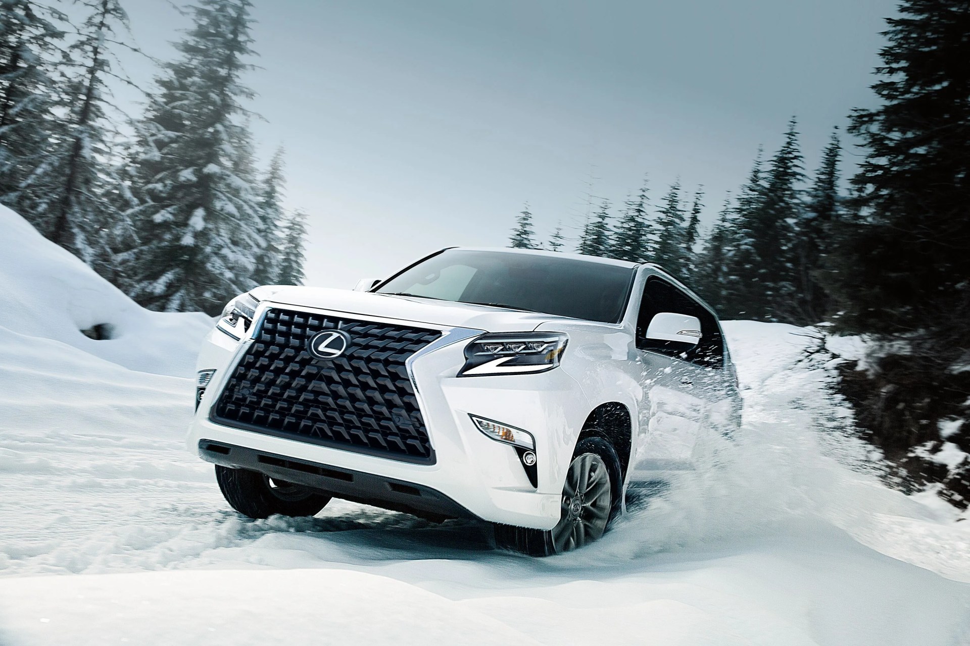lexus gx in white driving in the snow with pine trees in the background