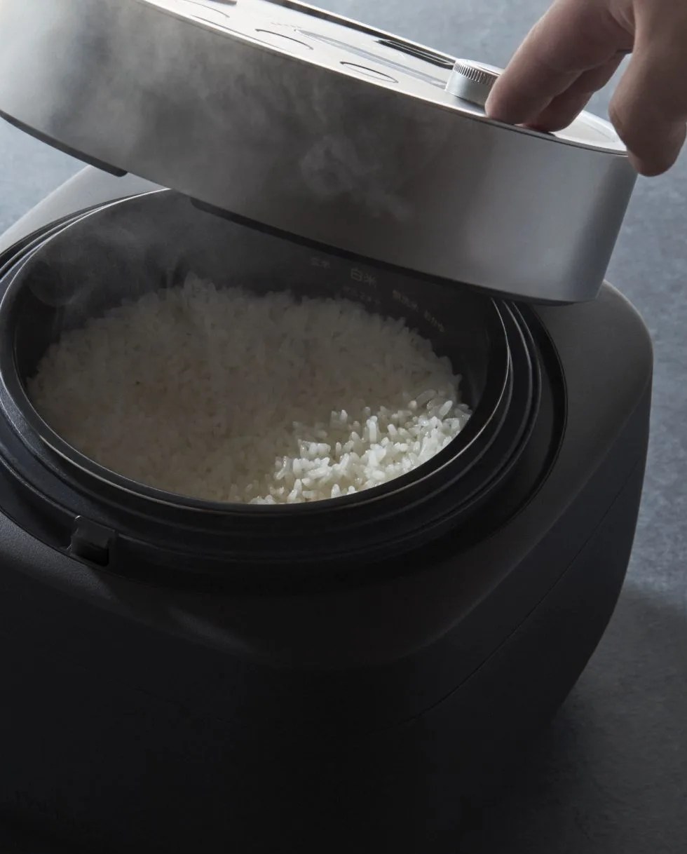 balmuda the gohan rice cooker