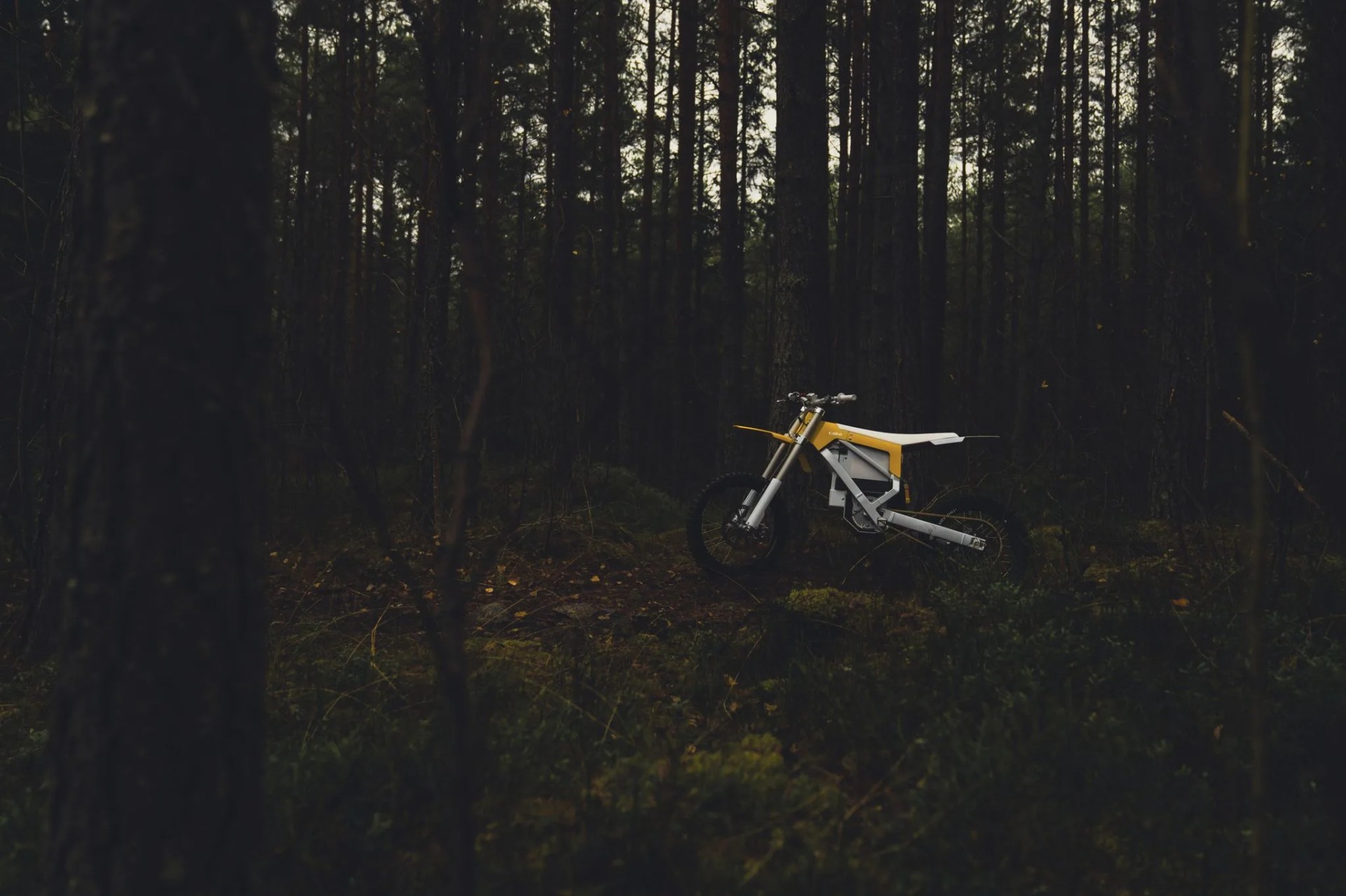 cake bukk off road motorcycle in the woods