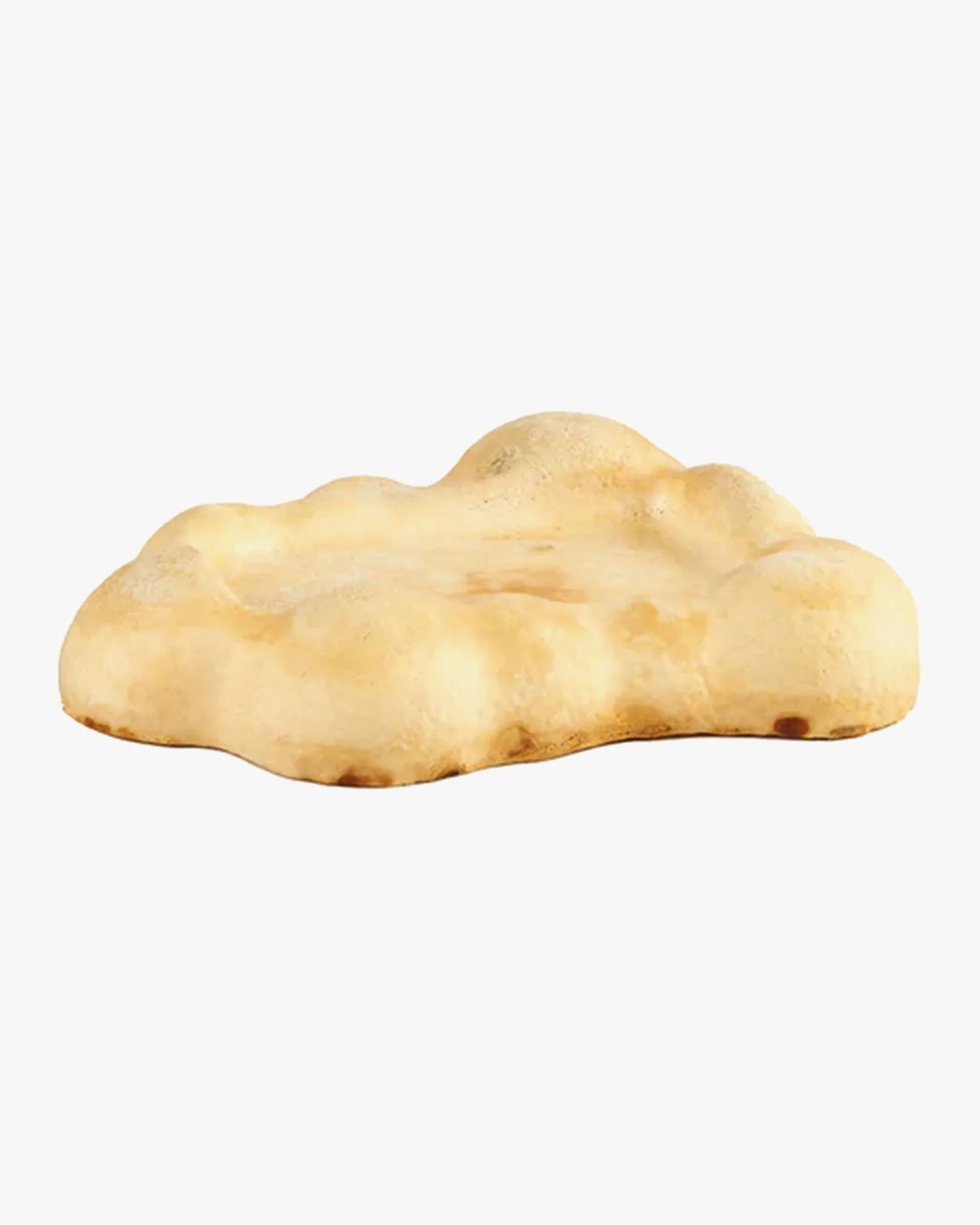 space available mycelium tray