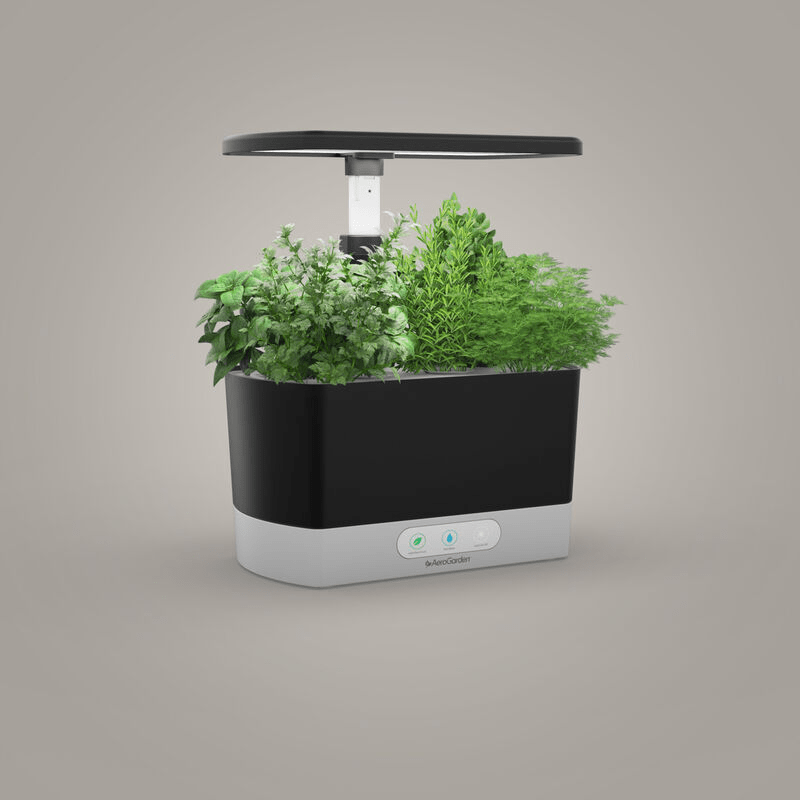 aerogarden harvest