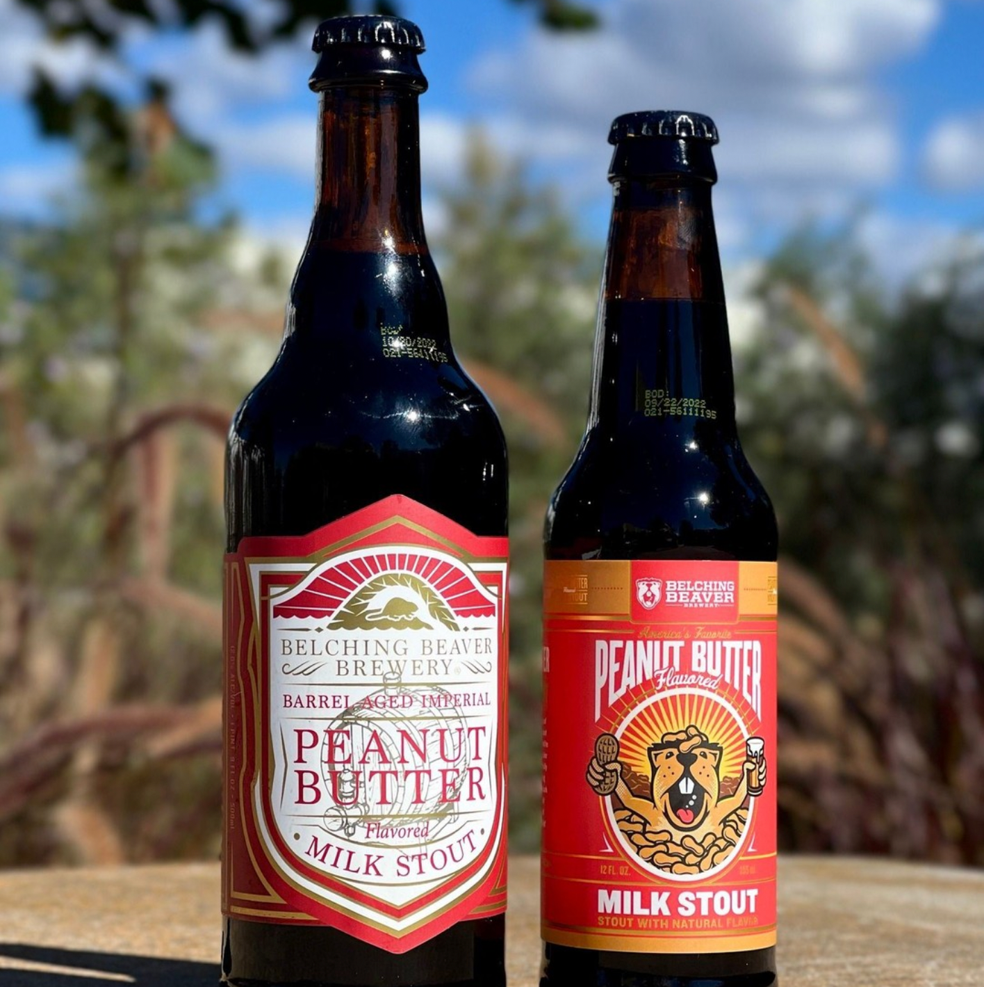 belching beaver peanut butter milk stout