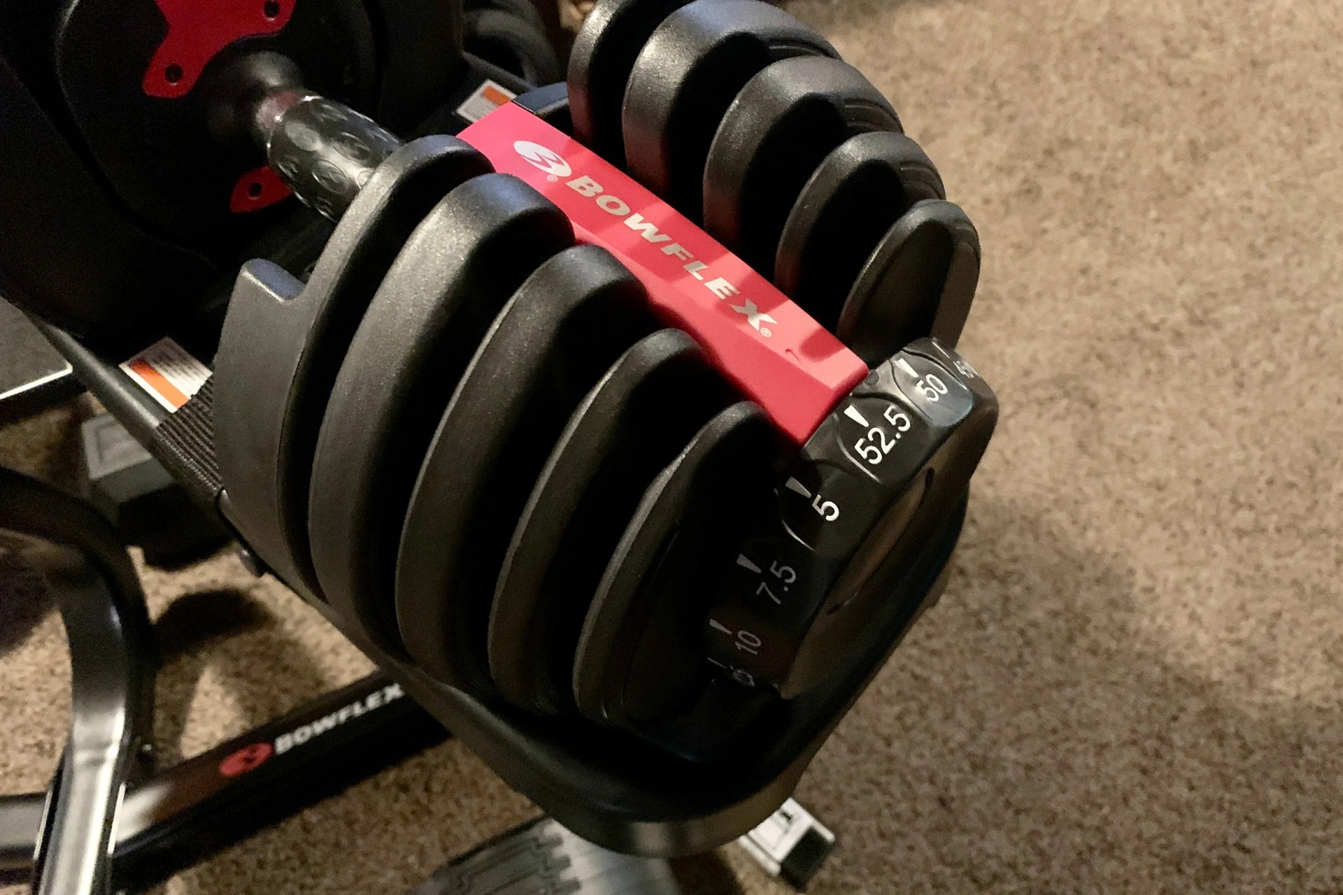 bowflex selecttech 552 dumbbell