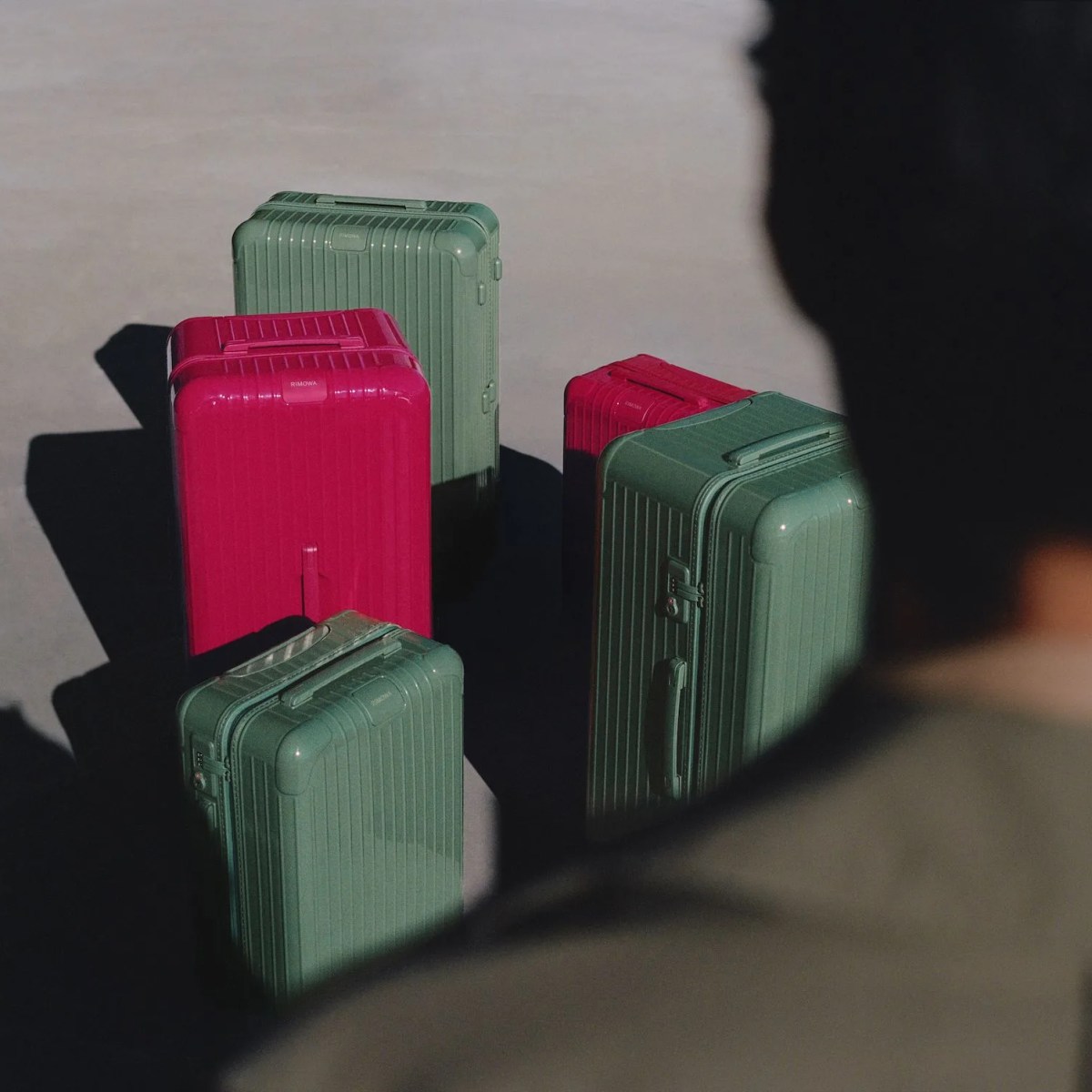 rimowa-essential-pine-and-