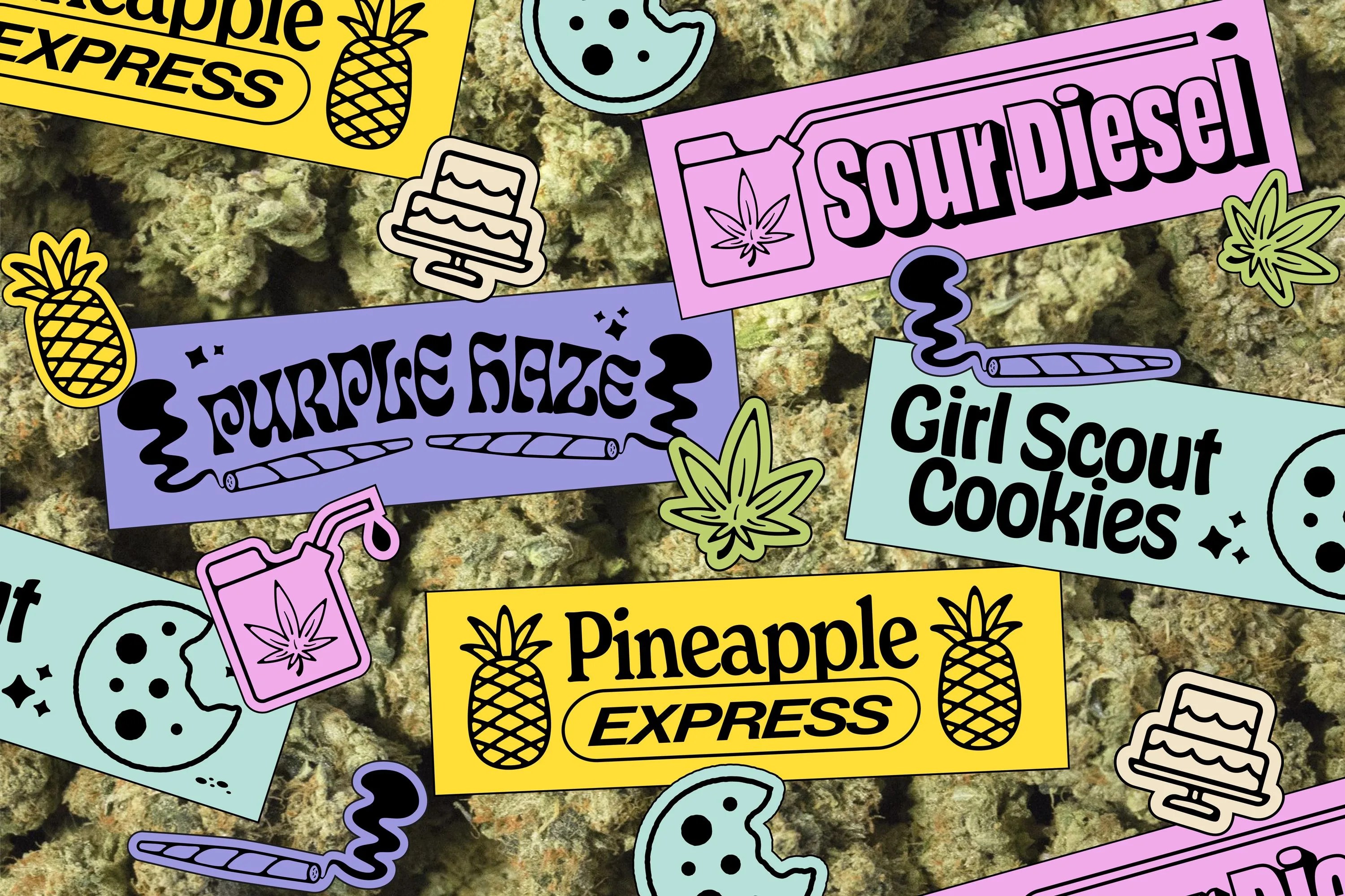 18 Weed Strains Every Stoner (and Newbie) Should Know Gear Patrol