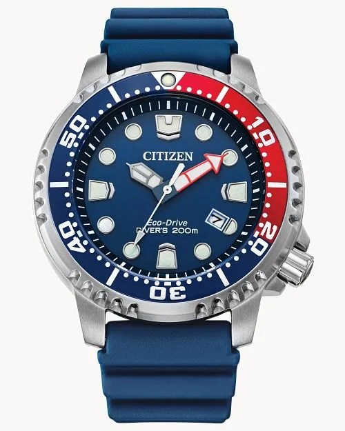 Citizen Promaster Dive Watch