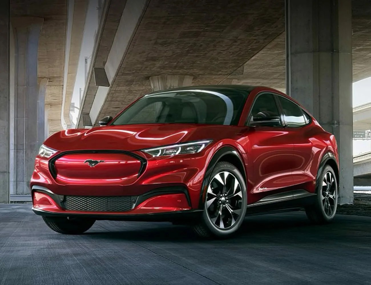 ford mustang mach e on a carpet