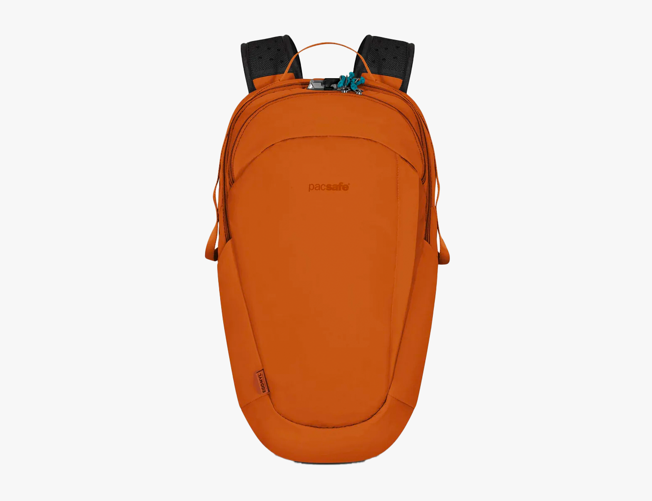 pacsafe backpack