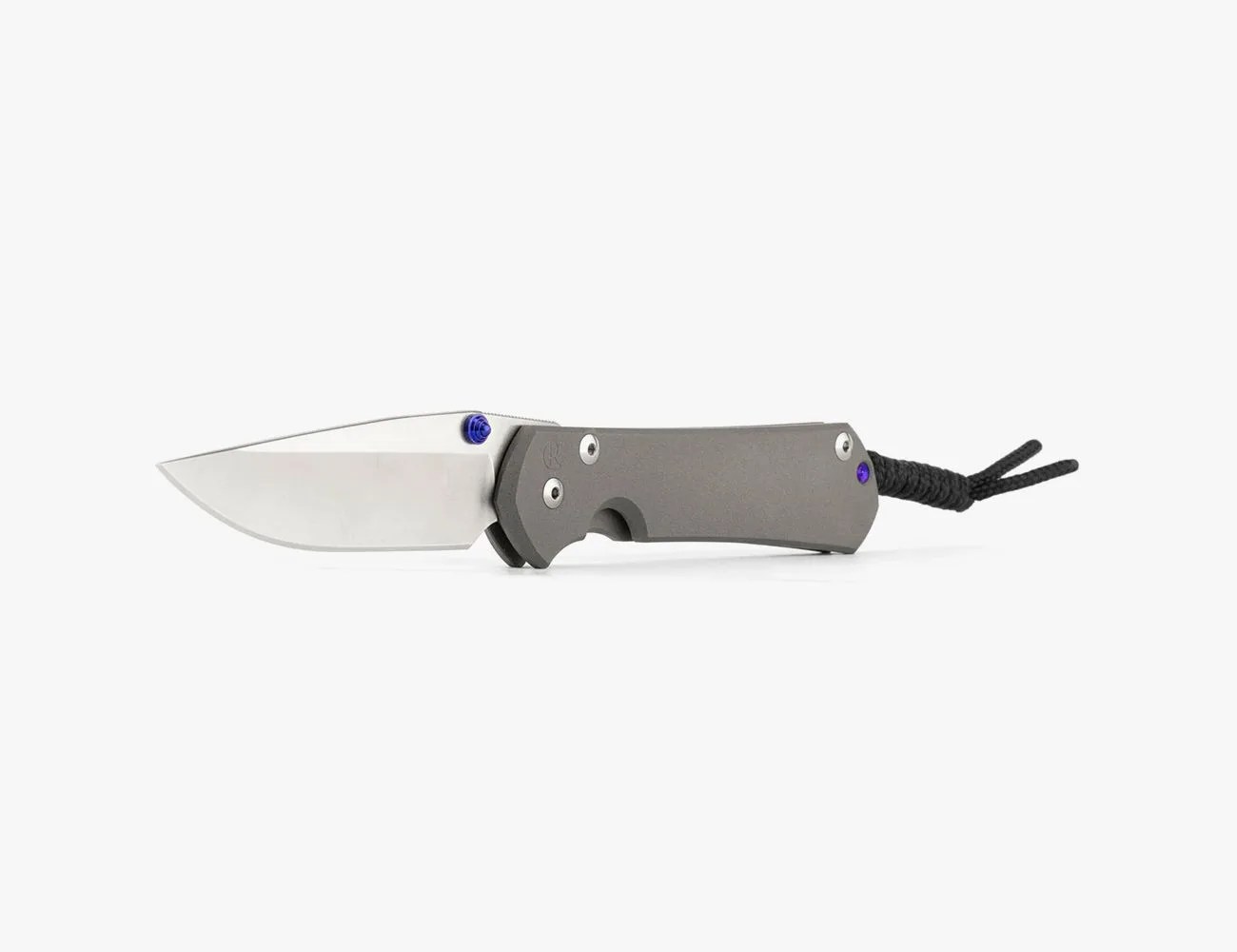 Chris Reeve Sebenza 31 Plain Drop Point