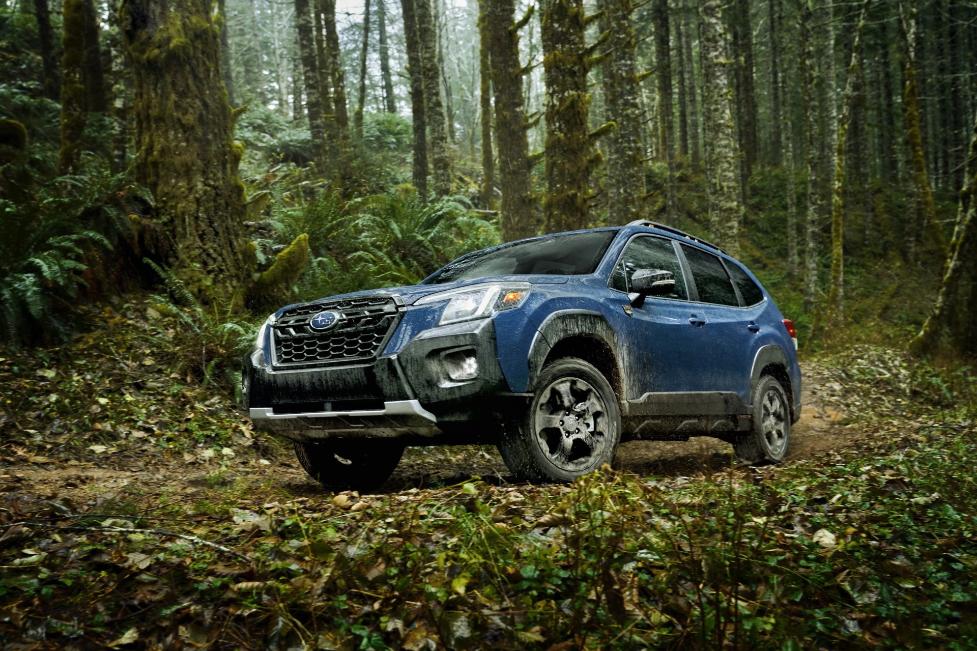 subaru forester wilderness
