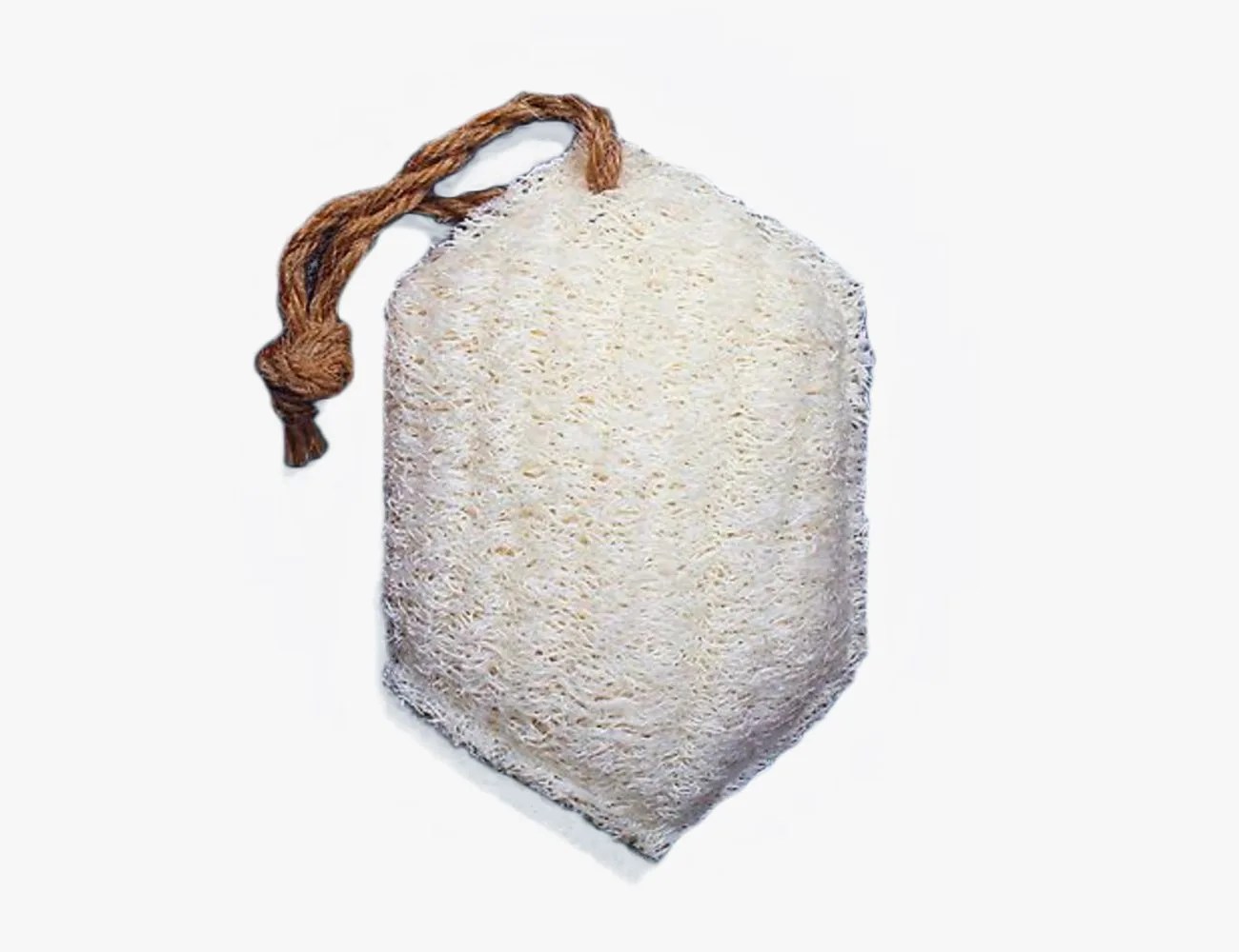 Sqwishful Scrub Sponge