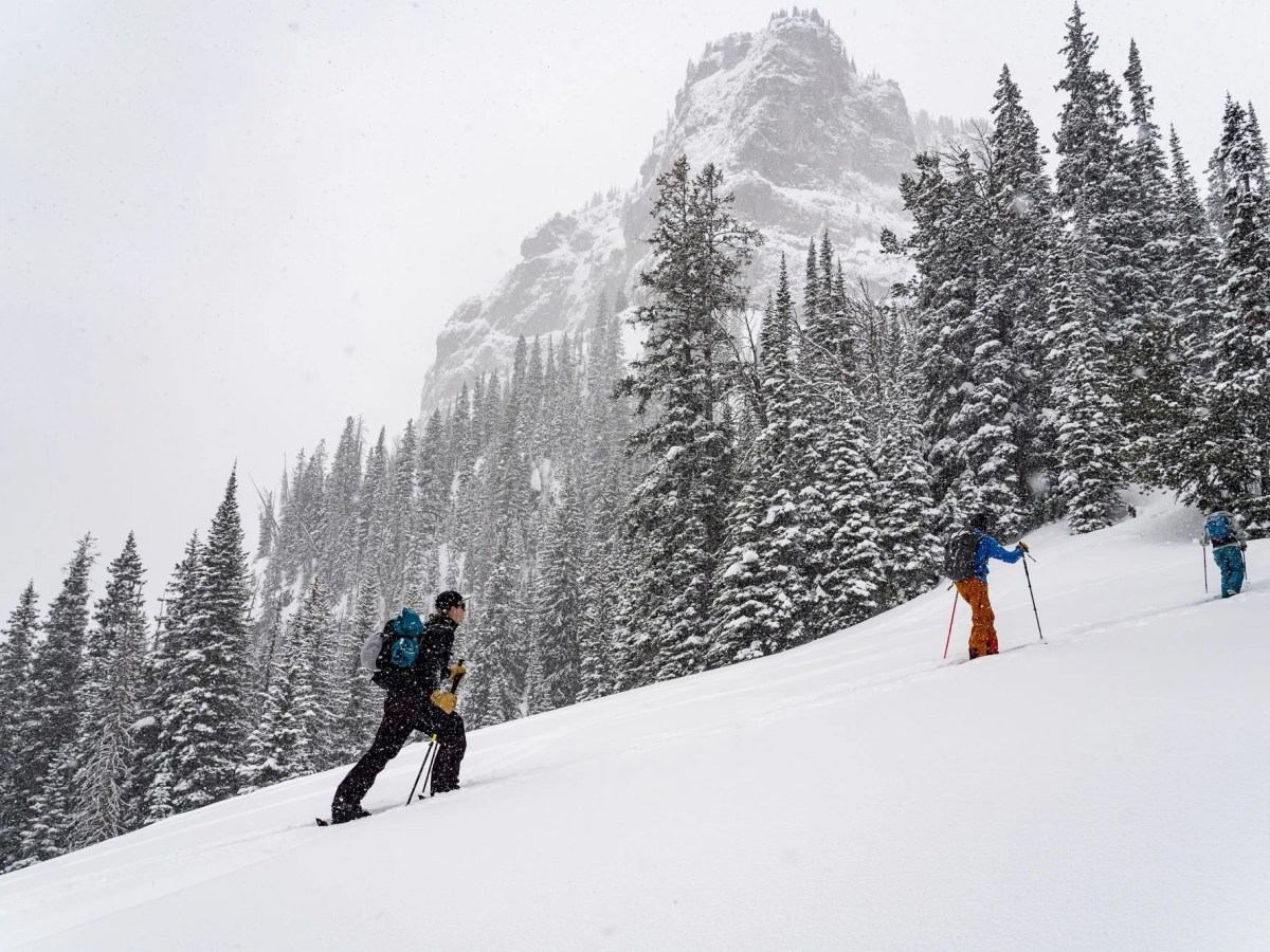 Gore-Tex and Patagonia Are Revolutionizing Waterproofing In the