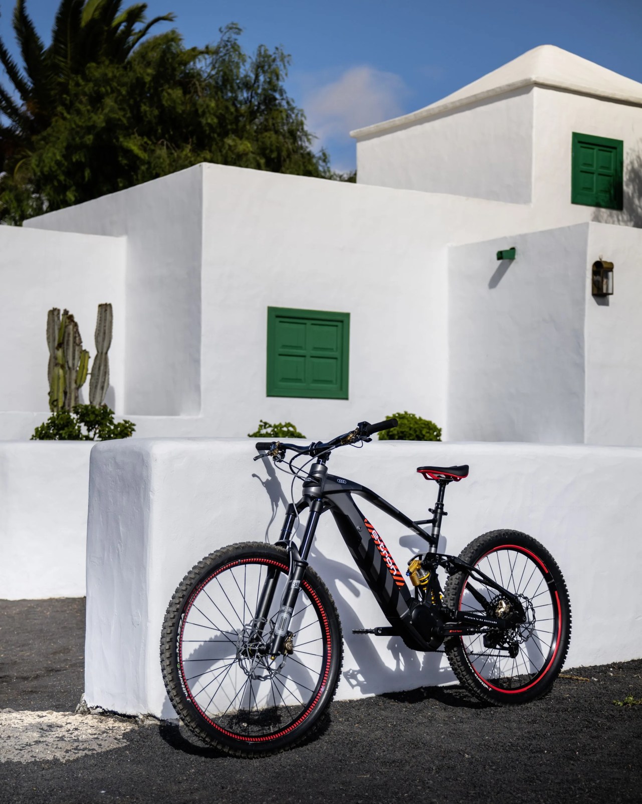 audi mountain electric bike