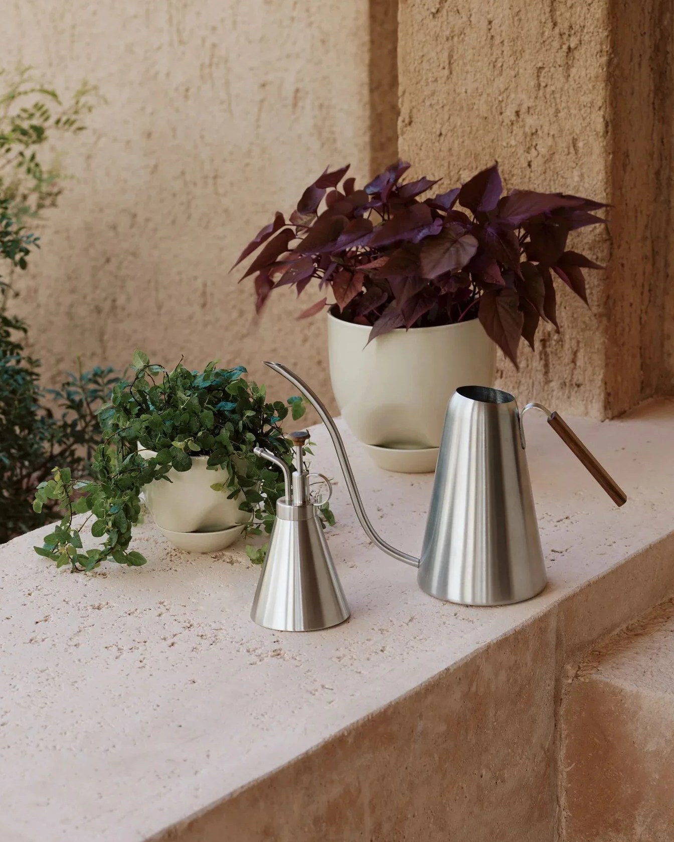 hydrous plant mister