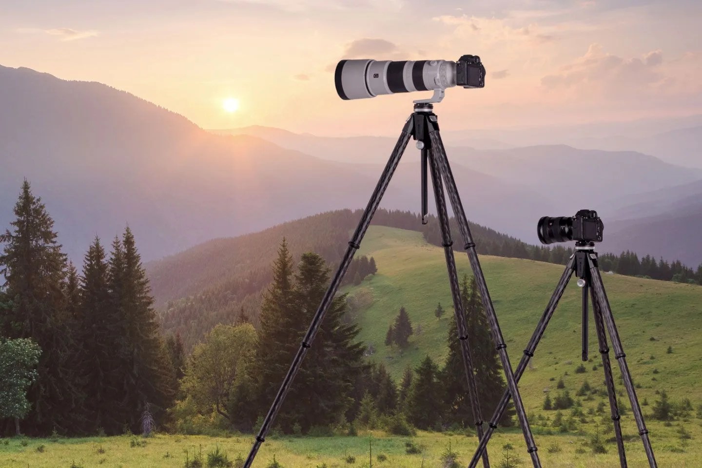 benro tripod stand