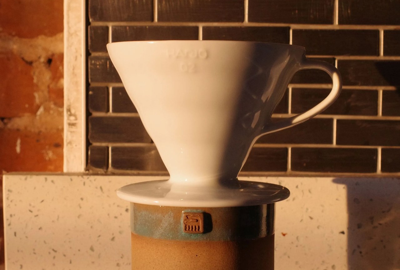 hario coffee cup