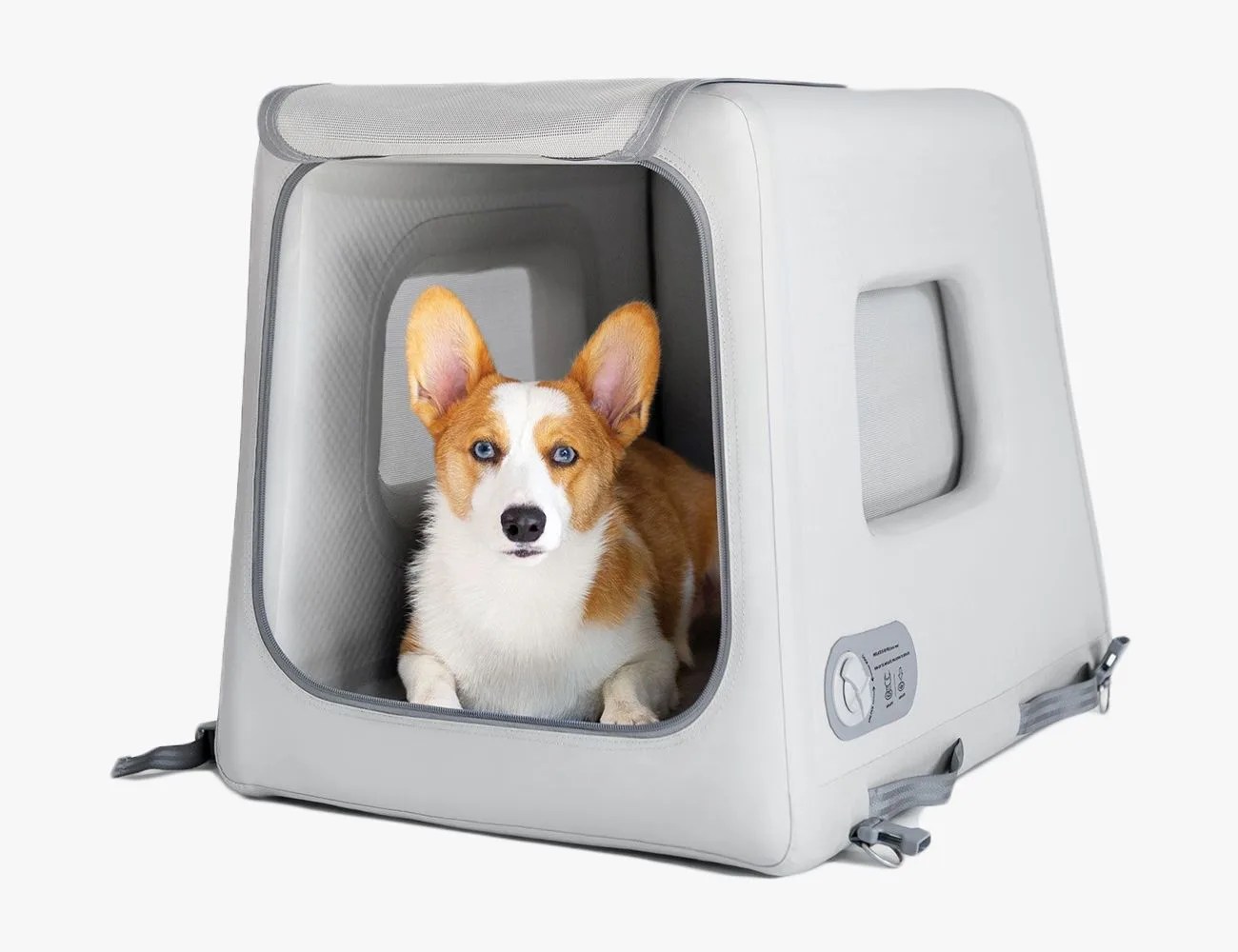 Diggs Enventur Travel Kennel